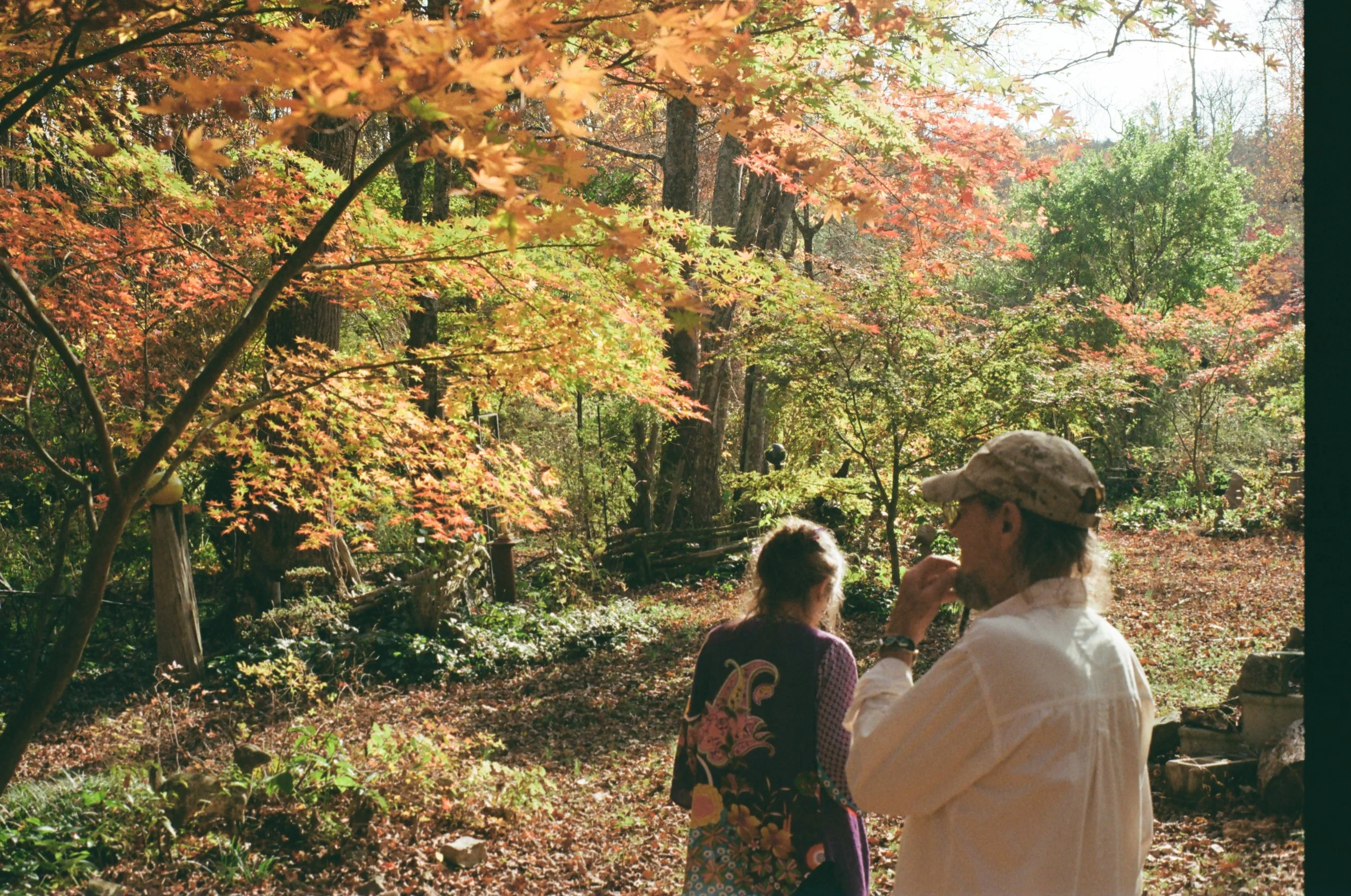 Two people, a woman and a man, stand in a wooded area during fall. The woman has her back to the camera, and the man, wearing a cap and sunglasses, is in profile. The scene is illuminated by sunlight with colorful autumn leaves on trees.
