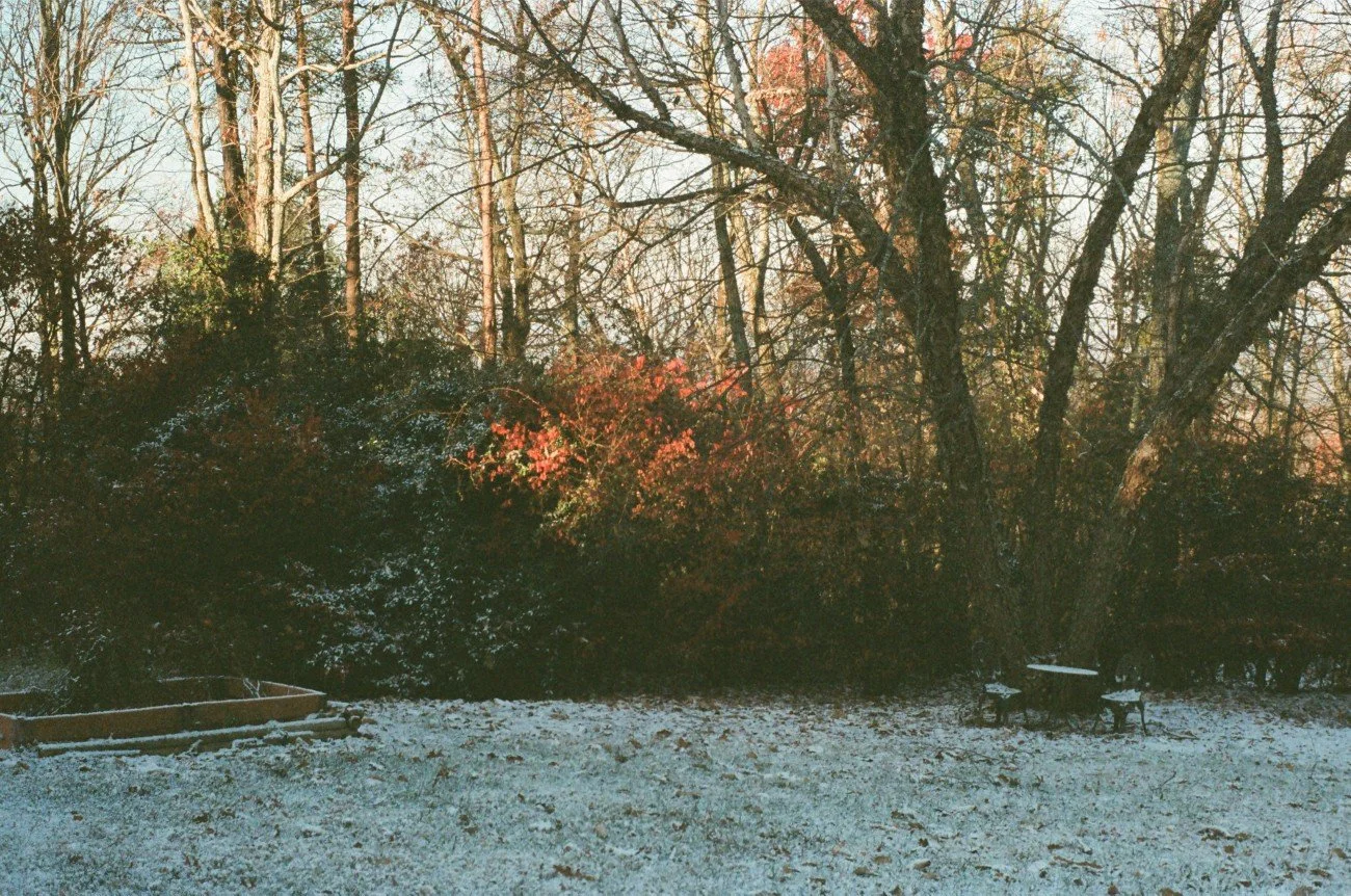 A backyard scene with snow on the ground, a wooden planter, and a metal table with chairs, all surrounded by leafless trees and bushes with some reddish leaves.