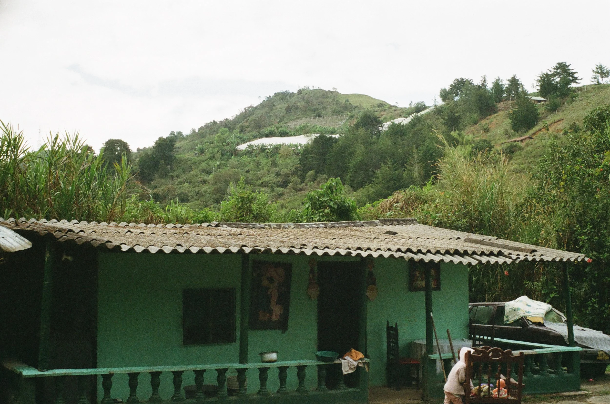 A small green house with a corrugated metal roof, surrounded by green vegetation and hills in the background.
