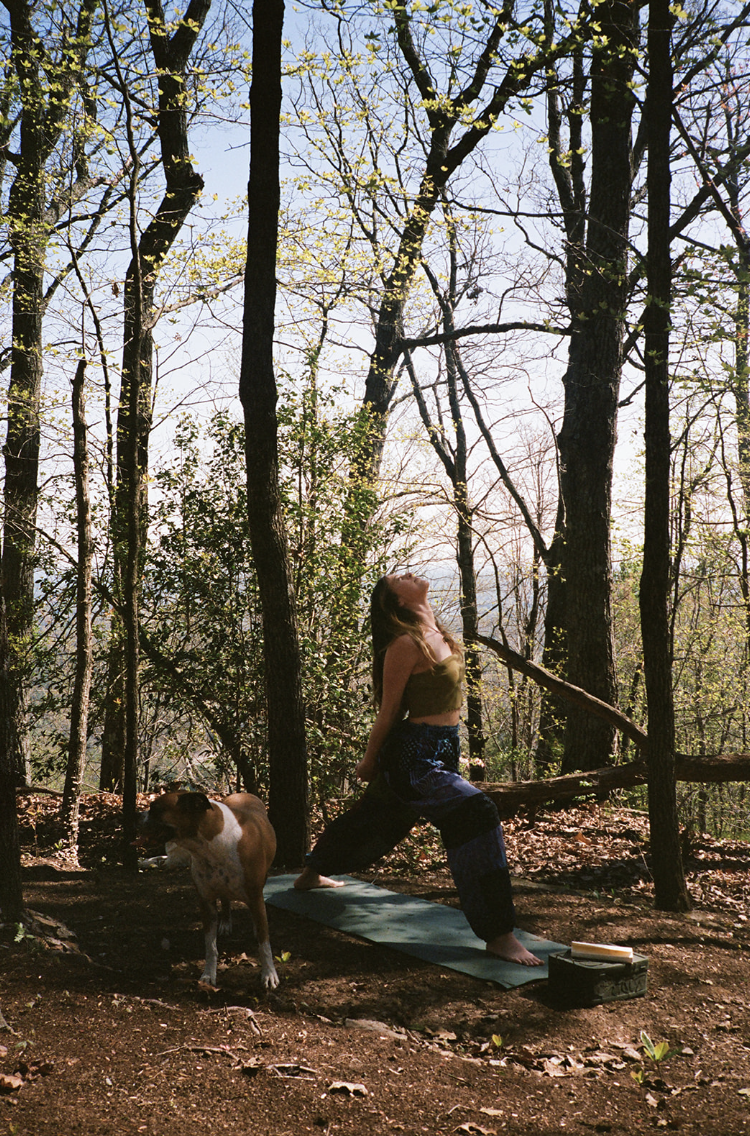 A woman practicing yoga on a mat in a forest, with a dog standing nearby, surrounded by tall trees with budding leaves.