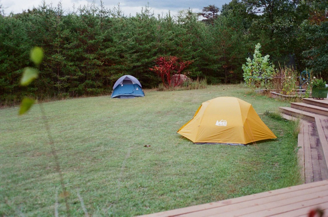 A backyard with two tents set up on the grass, one yellow and one blue, near a wooden deck and surrounded by trees and plants.