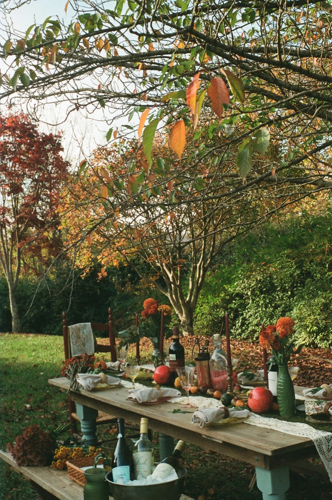An outdoor dining table set for a meal under a large tree in a garden during autumn, with decorations, wine bottles, pomegranates, and floral arrangements.