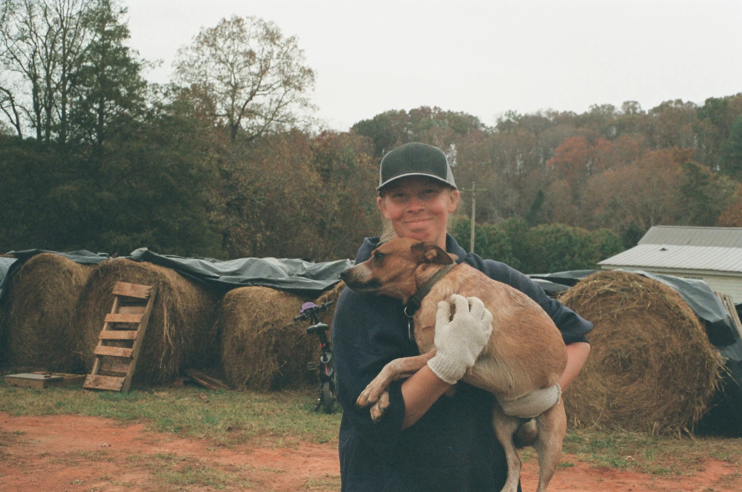 A woman wearing a black cap and gray gloves holding a medium-sized tan dog in her arms outdoors with hay bales, a ladder, and trees in the background.