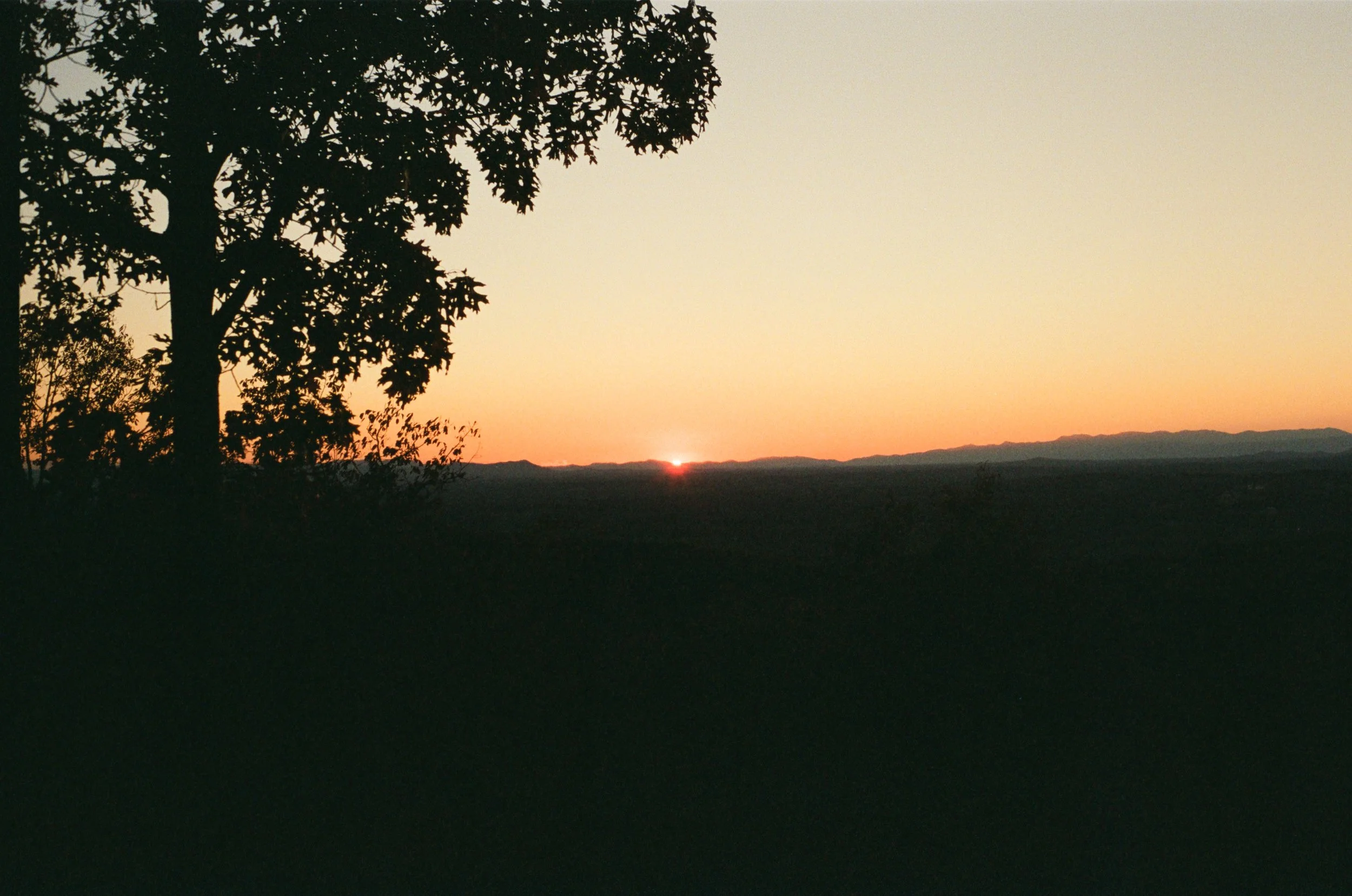 Silhouette of a large tree in the foreground on the left, with a sunset or sunrise in the distance over a flat landscape and mountains on the horizon, sky transitioning from orange to pale yellow.