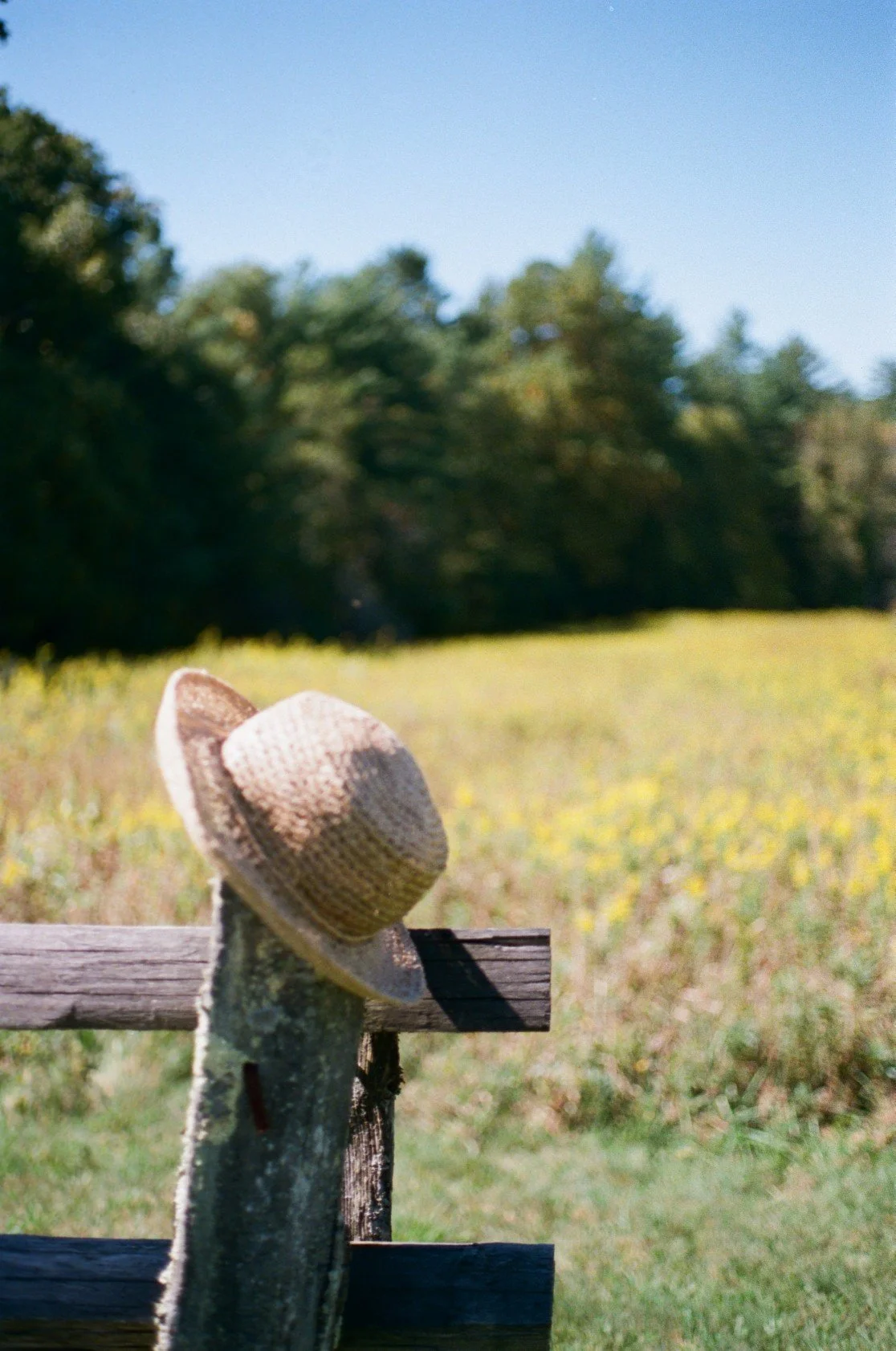 A straw sun hat resting on a weathered wooden fence in a grassy field with yellow flowers, with trees and a clear blue sky in the background.