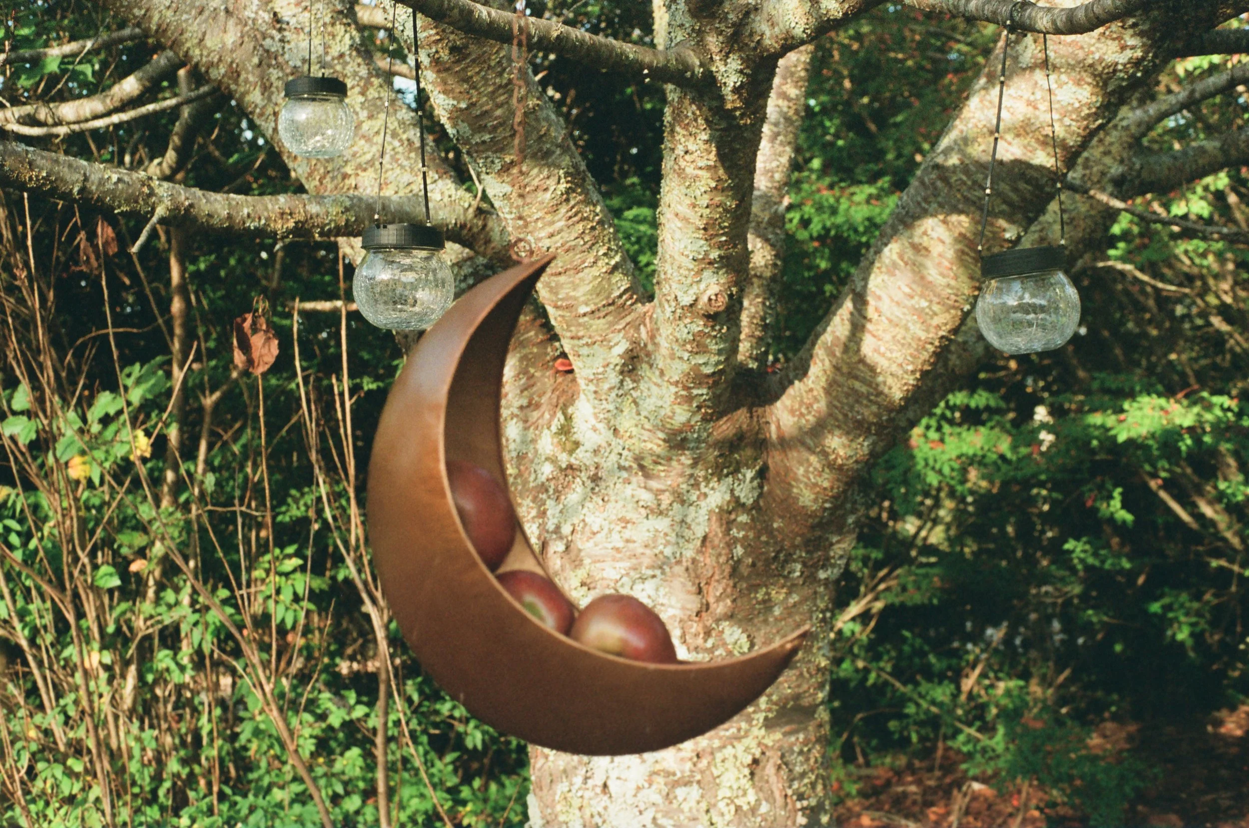 A tree with hanging glass lanterns and a crescent moon-shaped bowl filled with apples hanging from the branches.