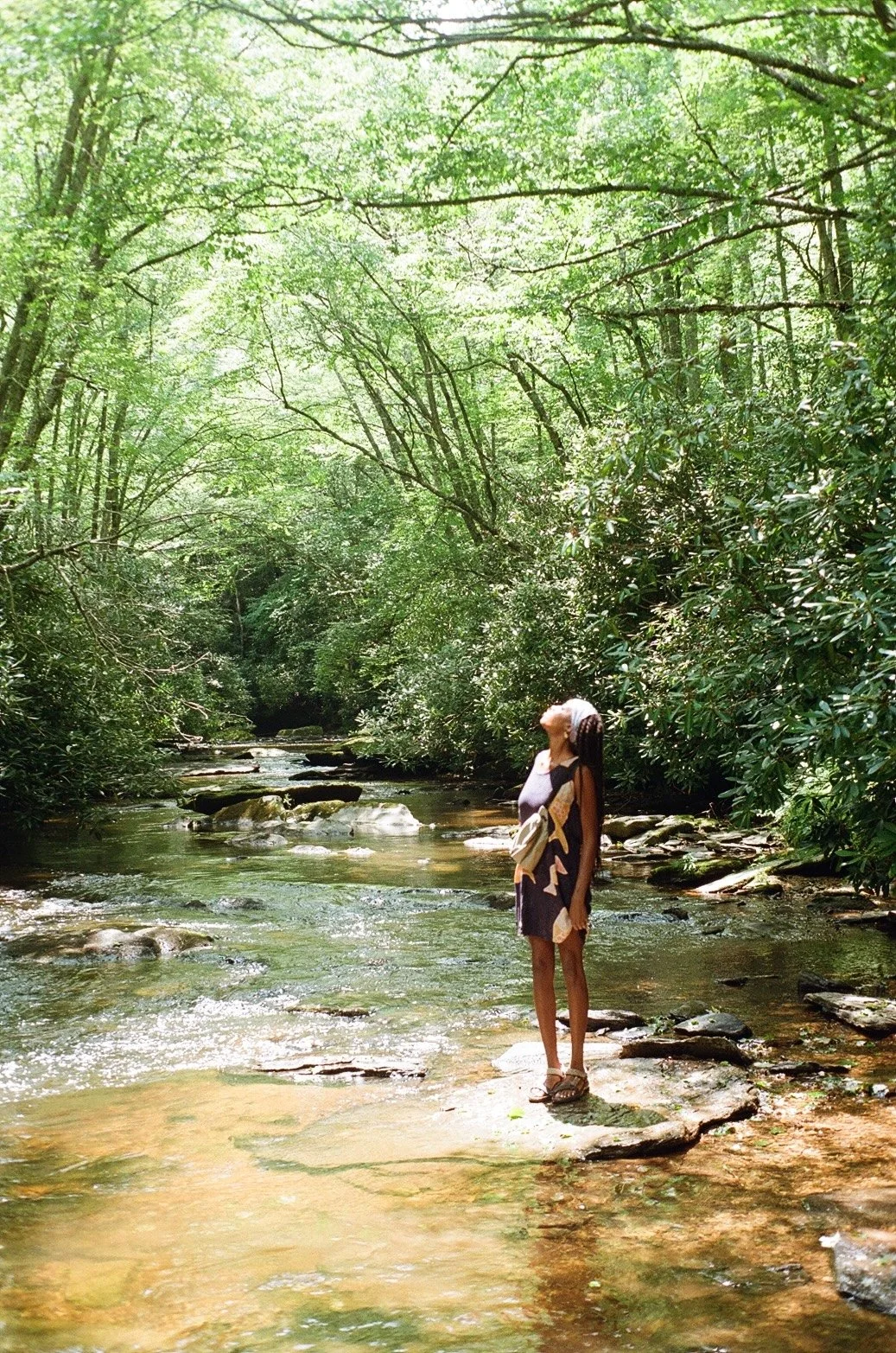 A woman standing on rocks in a stream surrounded by lush green trees, with her face tilted up towards the sunlight.