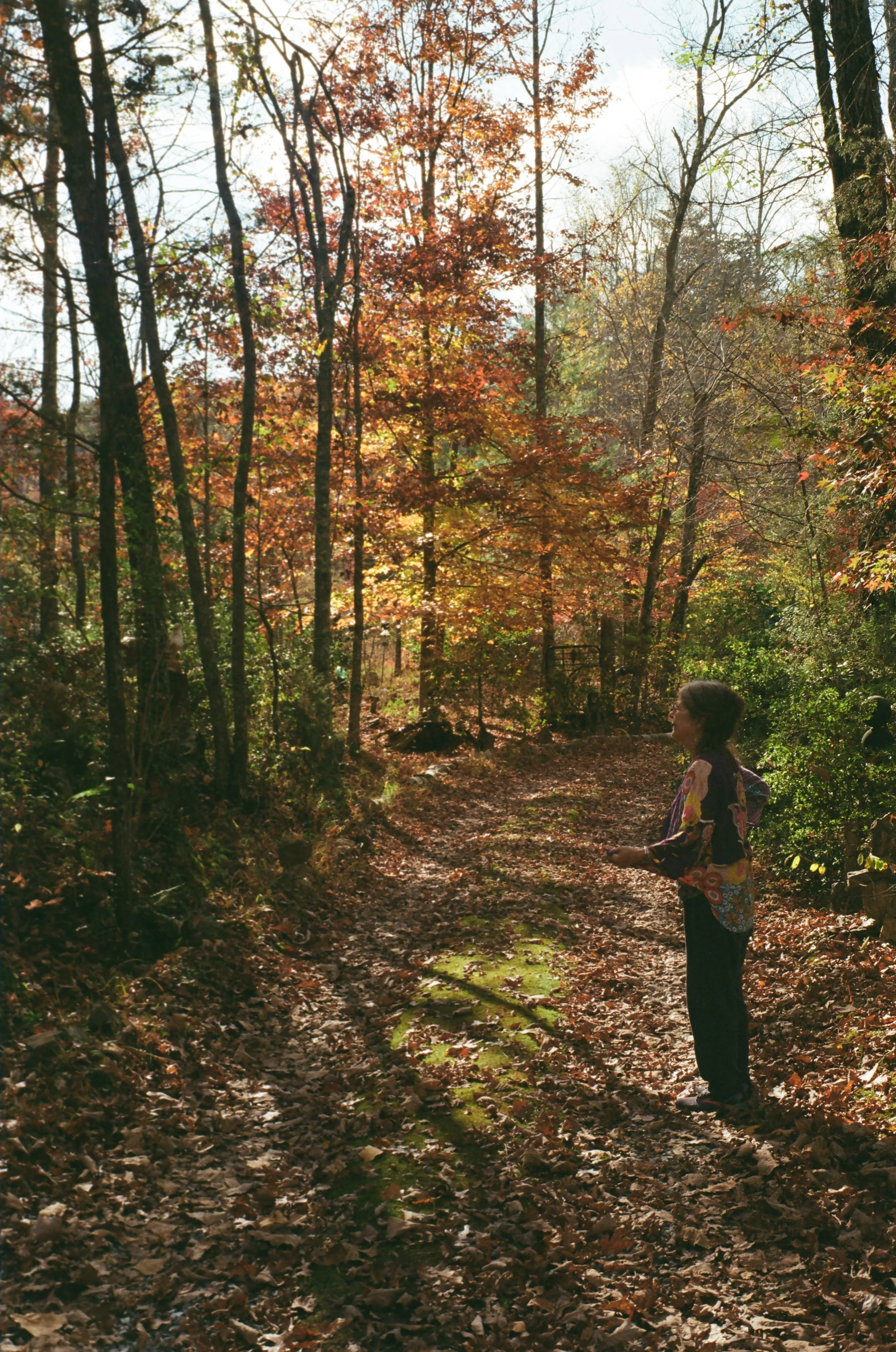 A woman standing on a leaf-covered forest trail in autumn, surrounded by trees with colorful fall foliage.
