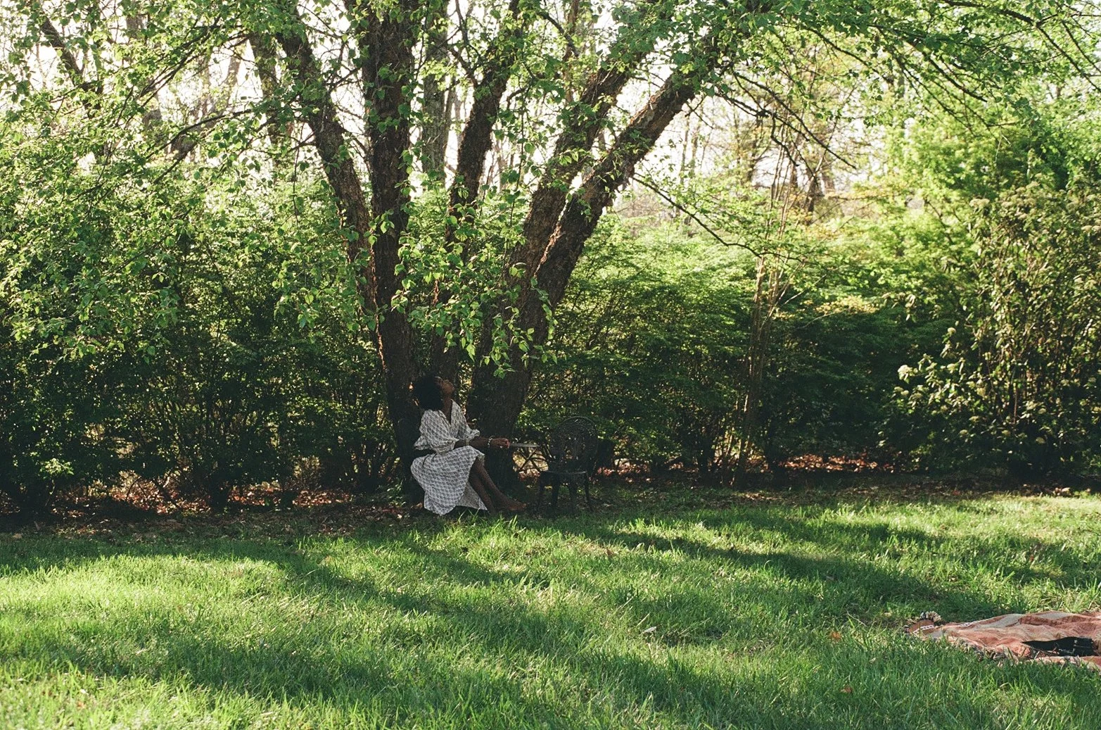 A person sitting under a large tree on a grassy area with lush greenery, sunlight filtering through the leaves, and a blanket laid out on the grass.