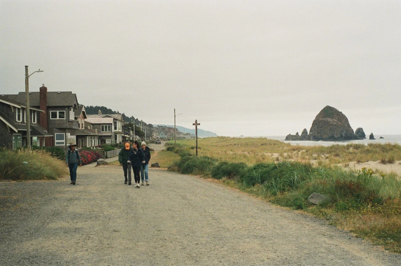 A group of people walking along a gravel path near a residential neighborhood and a beach with a large rock formation in the background.