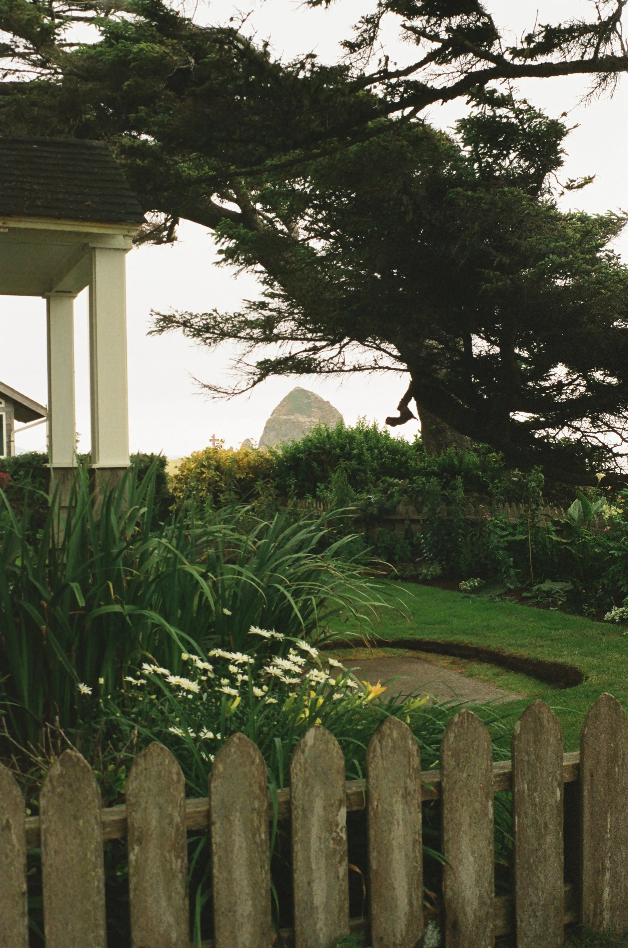 A garden scene with a white picket fence in the foreground, lush green plants and flowers, a large tree with extending branches, and a distant rocky peak in the background.