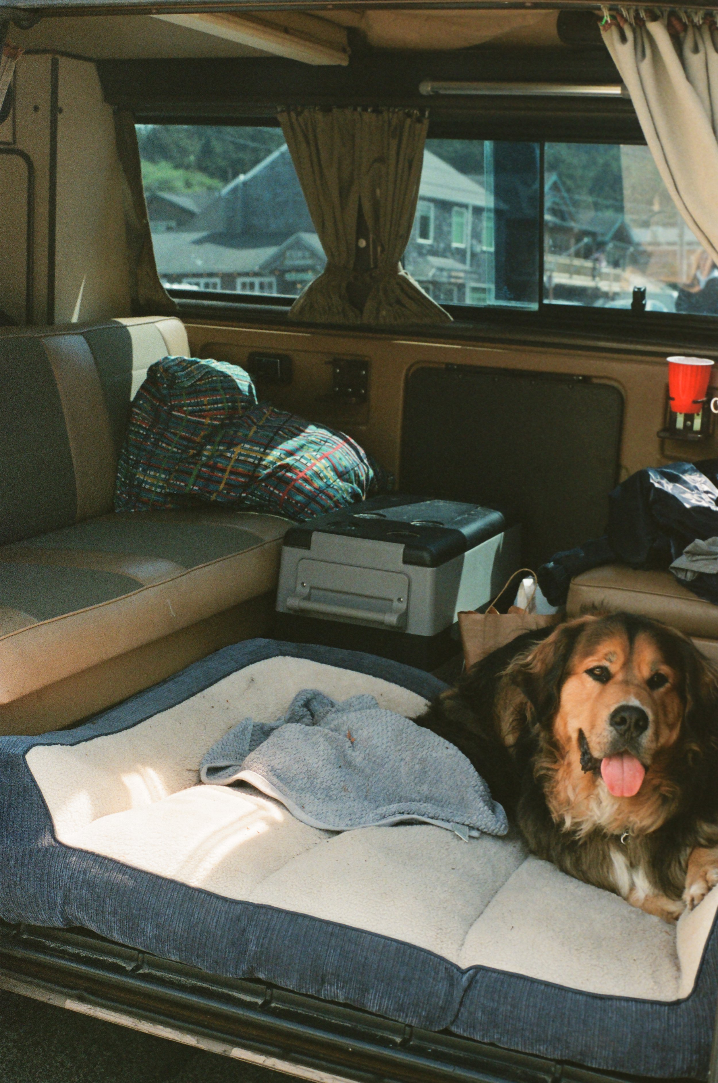 A happy dog lying on a pet bed inside a campervan, with a view of houses through the window.
