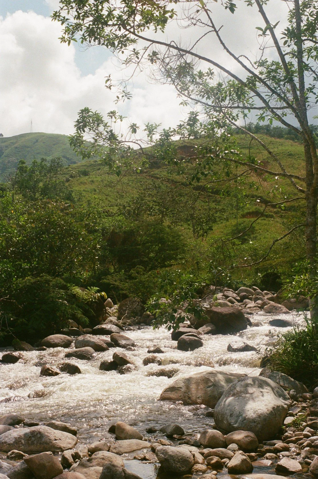 Flowing mountain stream amid lush green trees and rocky terrain with hills under partly cloudy sky.