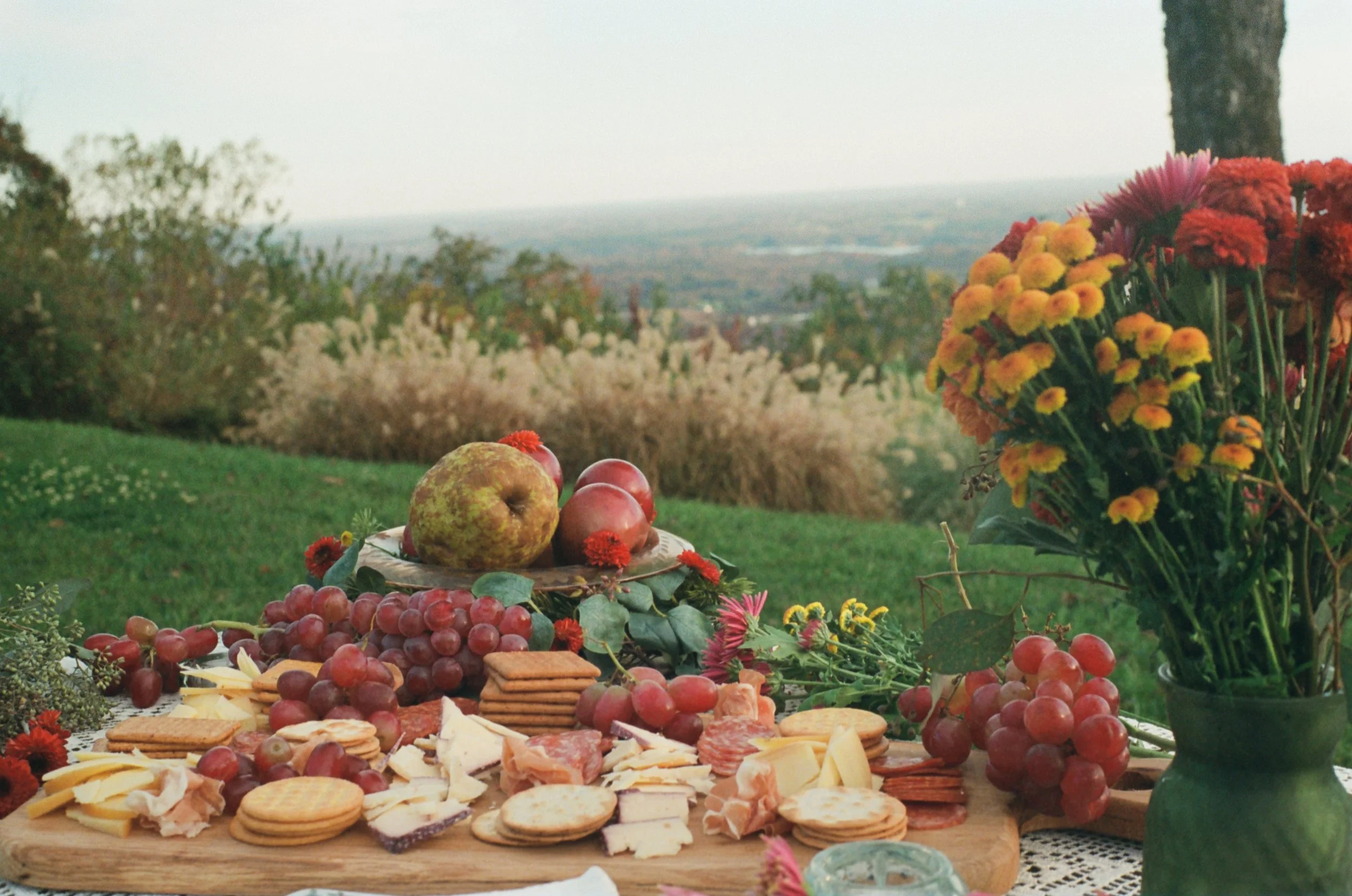 A picnic table set outdoors with grapes, cheese, crackers, fruit, and a bouquet of colorful flowers against a scenic background of trees and fields.