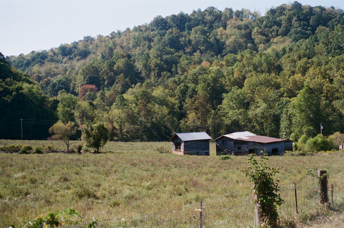 Two weathered wooden barns in a grassy field with a fence, surrounded by a lush, green, hilly forest under a clear sky.