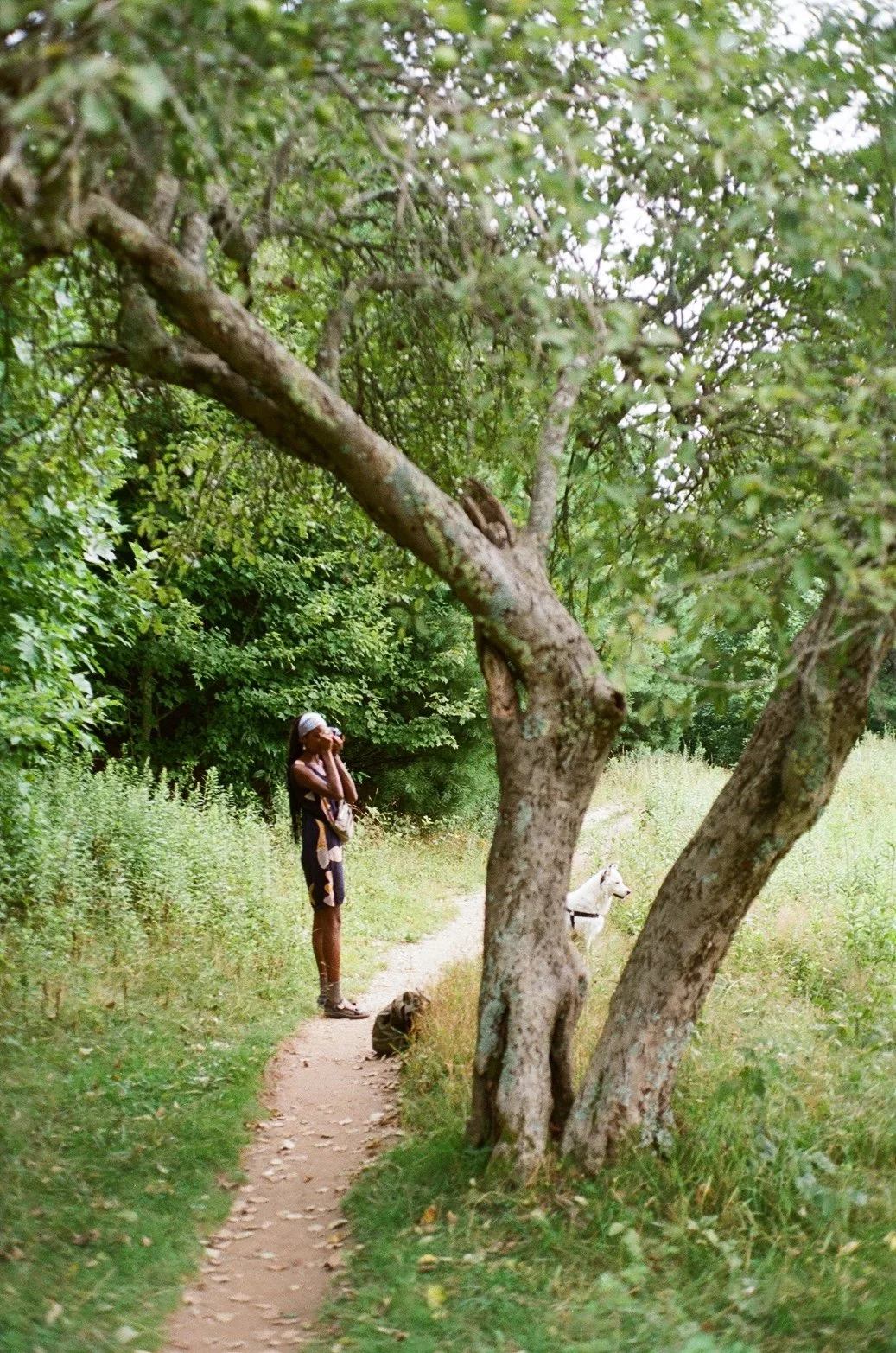A woman with a camera standing on a dirt path beside a white dog, near a tree in a lush green forest.