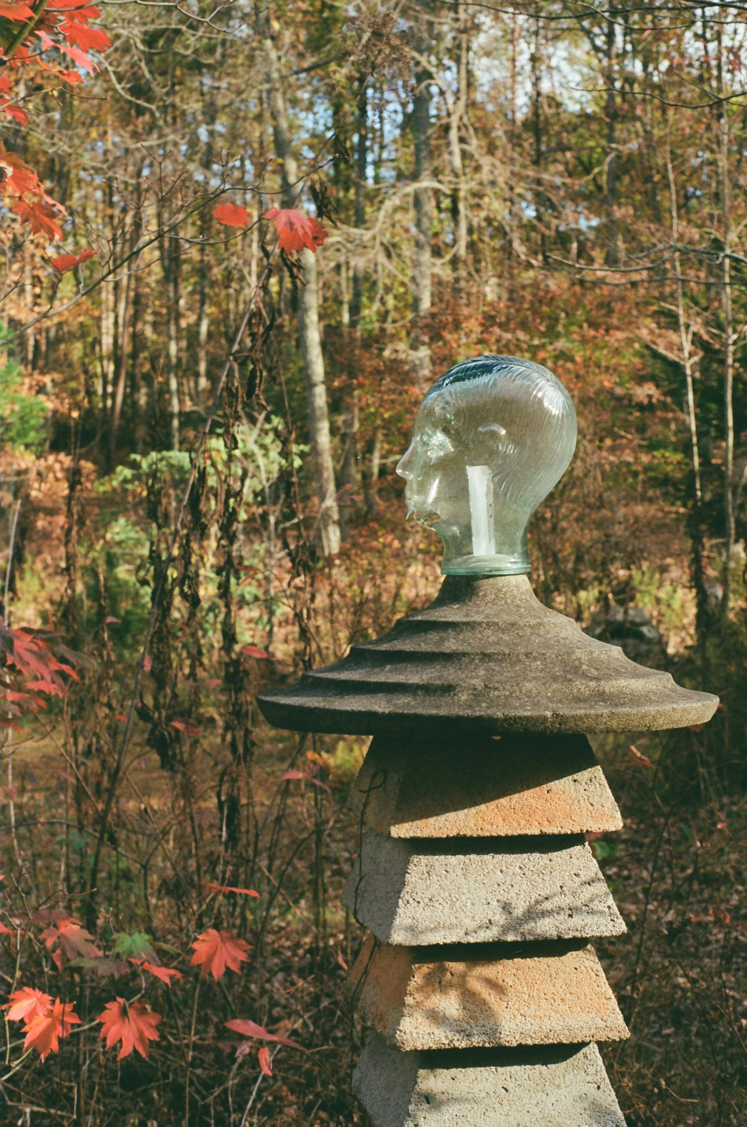 A glass sculpture of a human head placed on top of stacked stone slabs in a forest setting with autumn foliage.