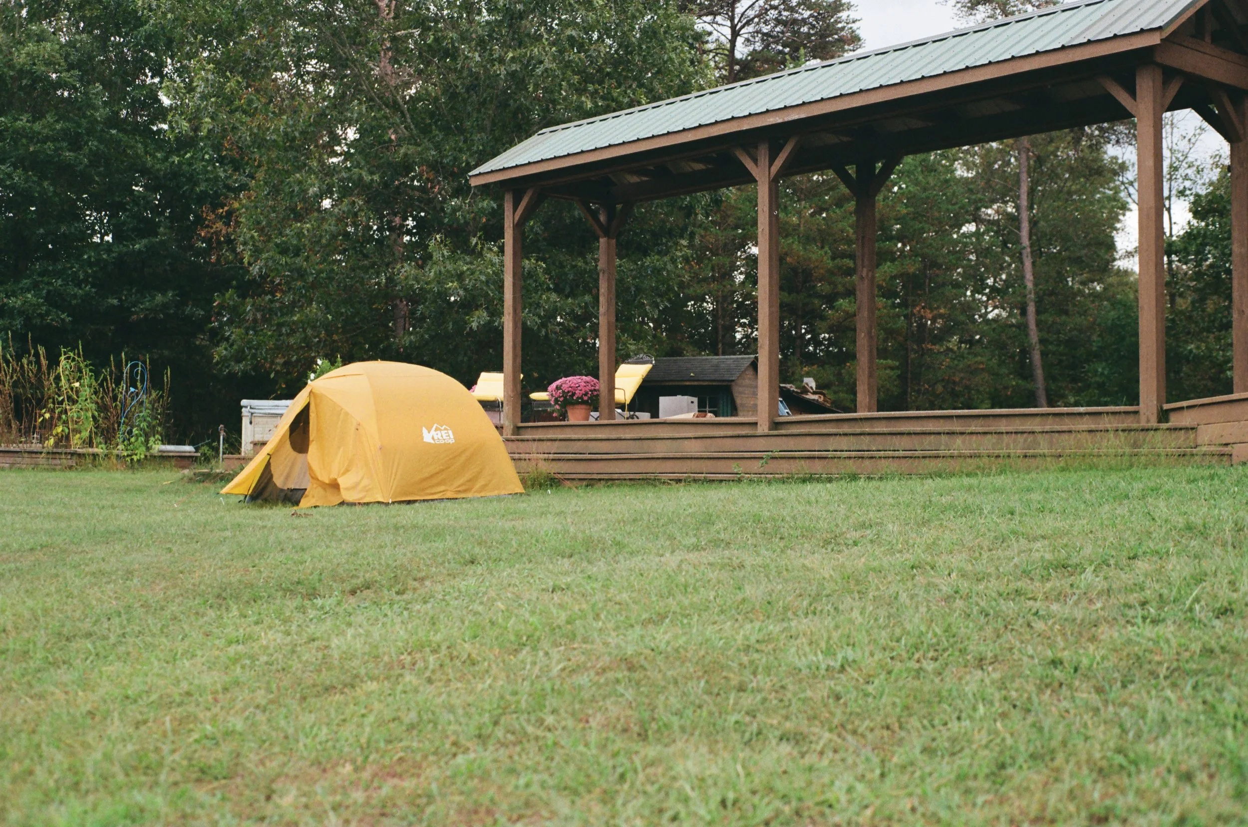 A yellow tent set up on a grassy yard with a wooden patio and lush green trees in the background.