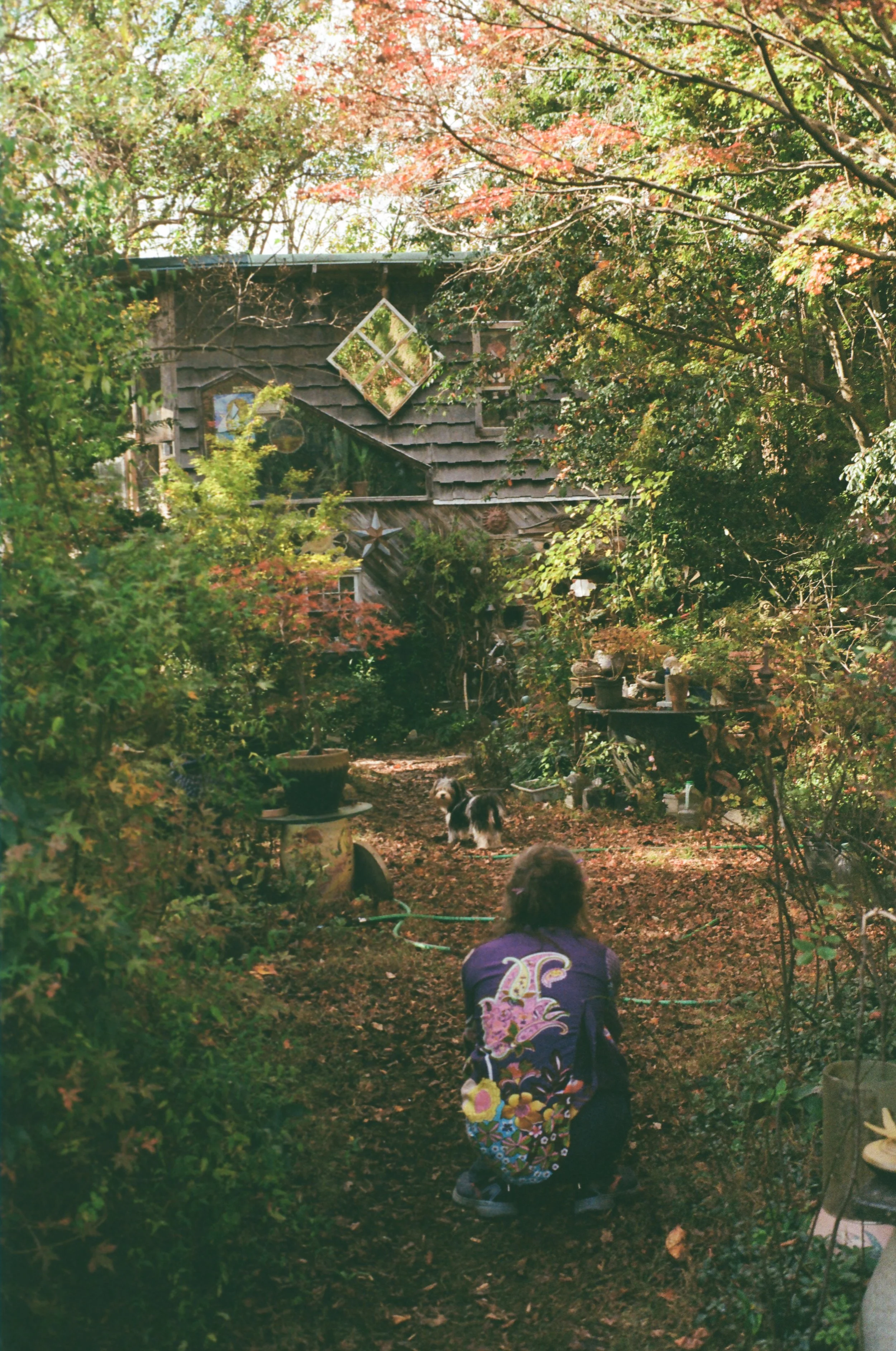 A person crouching in a lush garden with a dog, surrounded by trees and plants, with a rustic house in the background.