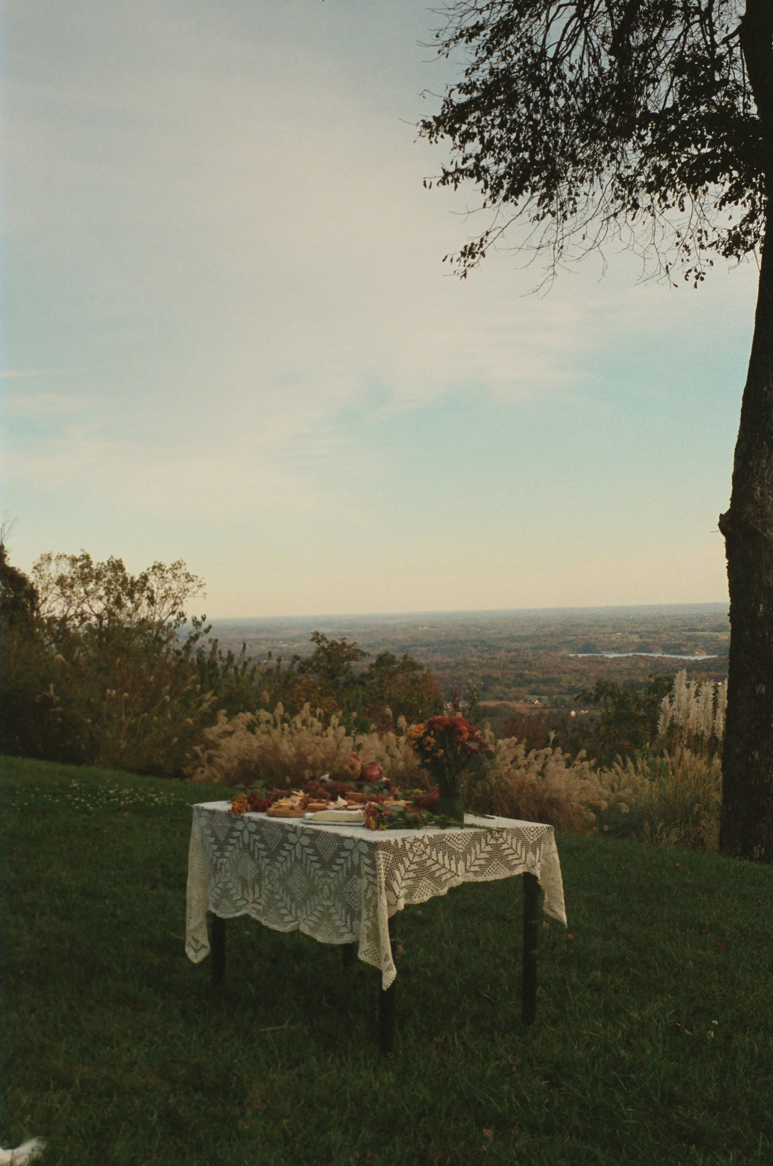 Outdoor celebration table with food and flowers on a hill with a scenic view of the landscape and sky in the background.