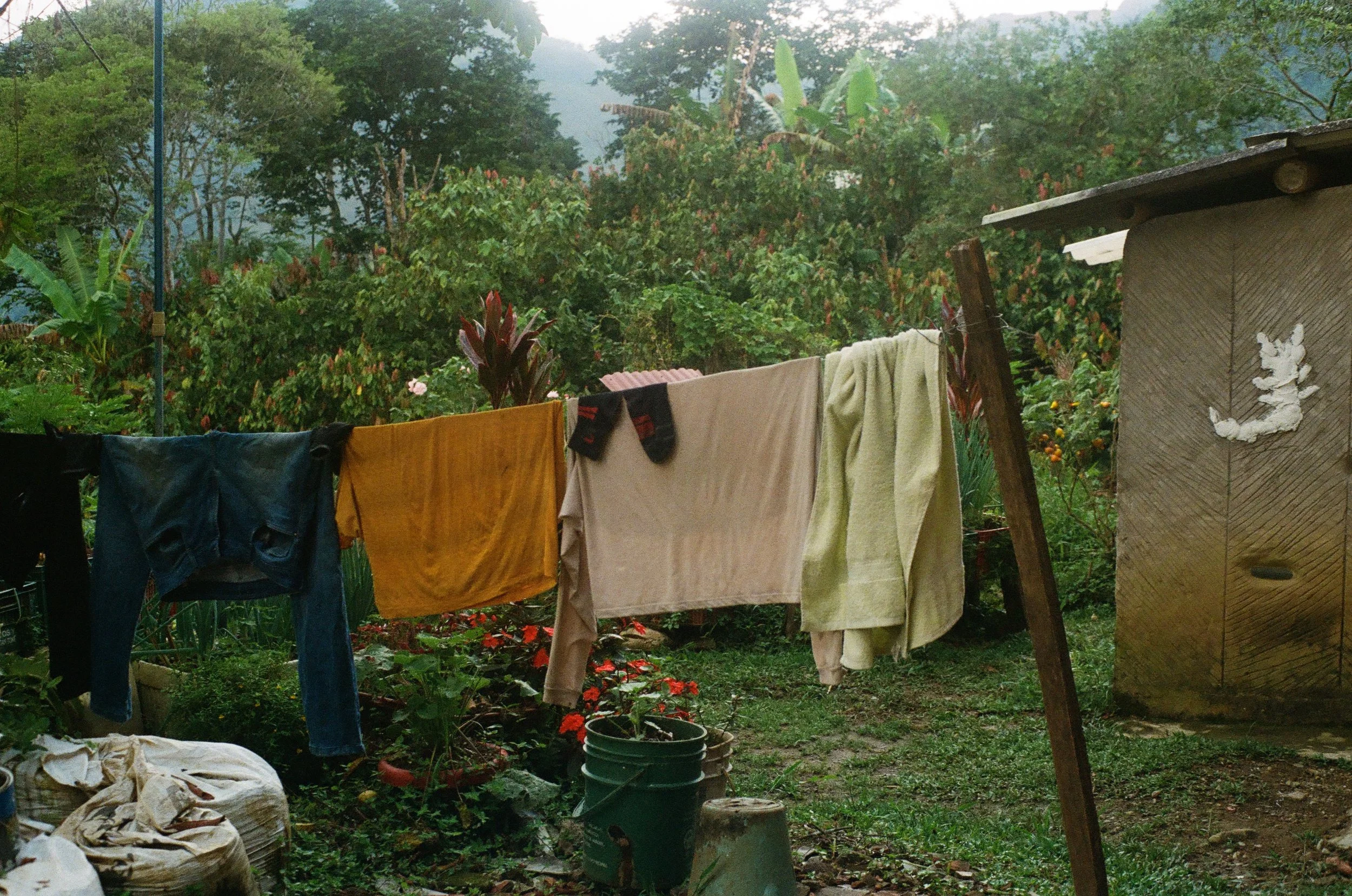 Clothes hanging on a clothesline in a lush, green outdoor setting with trees and plants in the background.