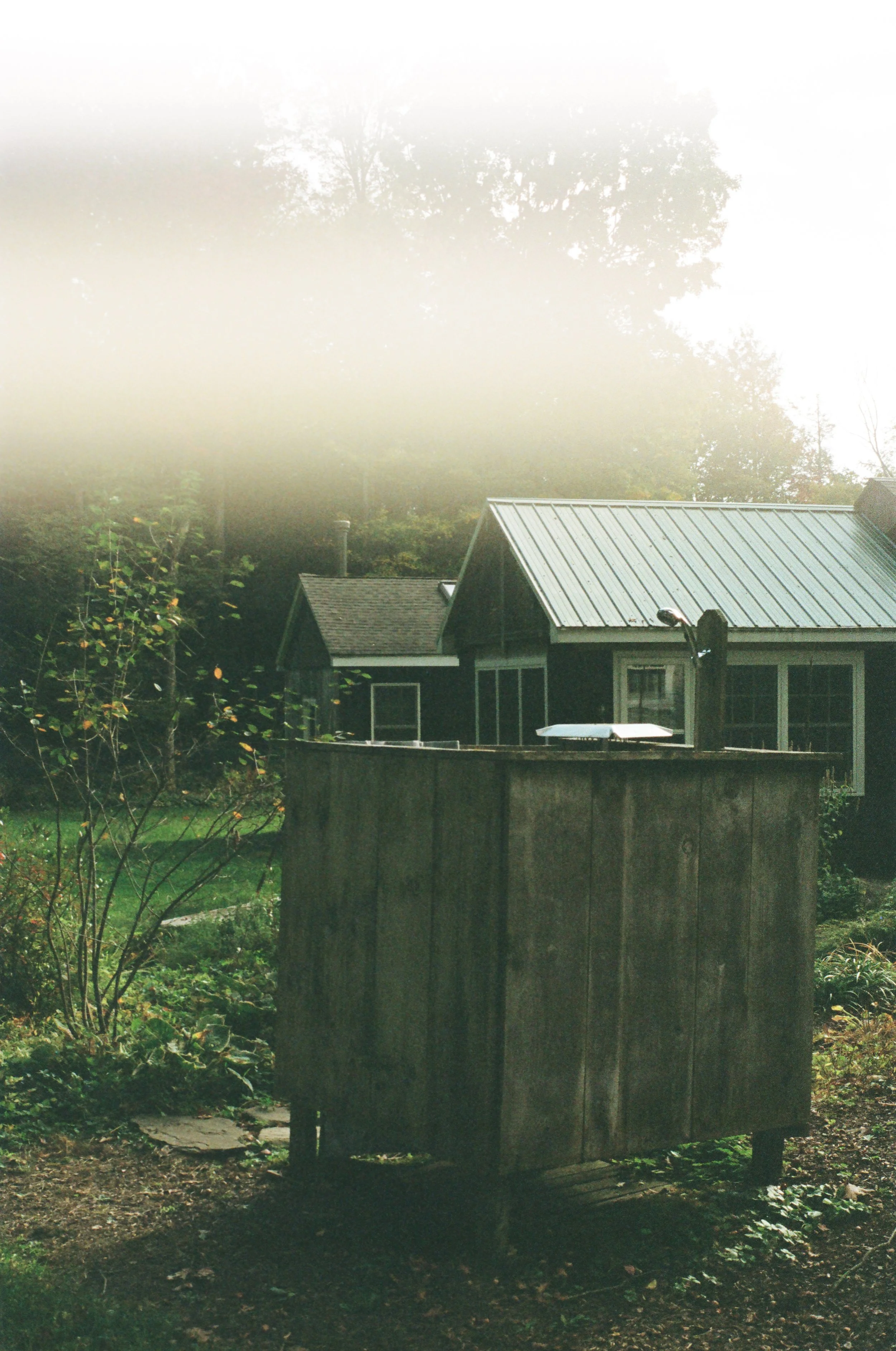 A backyard scene with a wooden shed in the foreground, a house with a metal roof in the background, and trees surrounding the area. The sky is overcast.