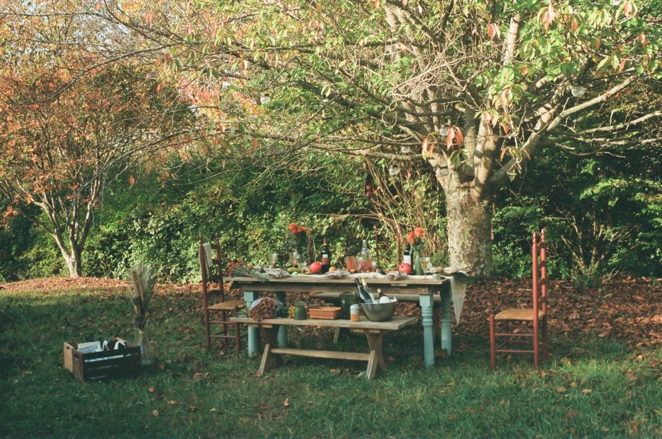 An outdoor dining setup in a backyard with a wooden table, surrounded by chairs, beneath a large tree with green and fall-colored leaves. The table is decorated with bottles, fruits, and tableware, with a basket and other items on the ground nearby.