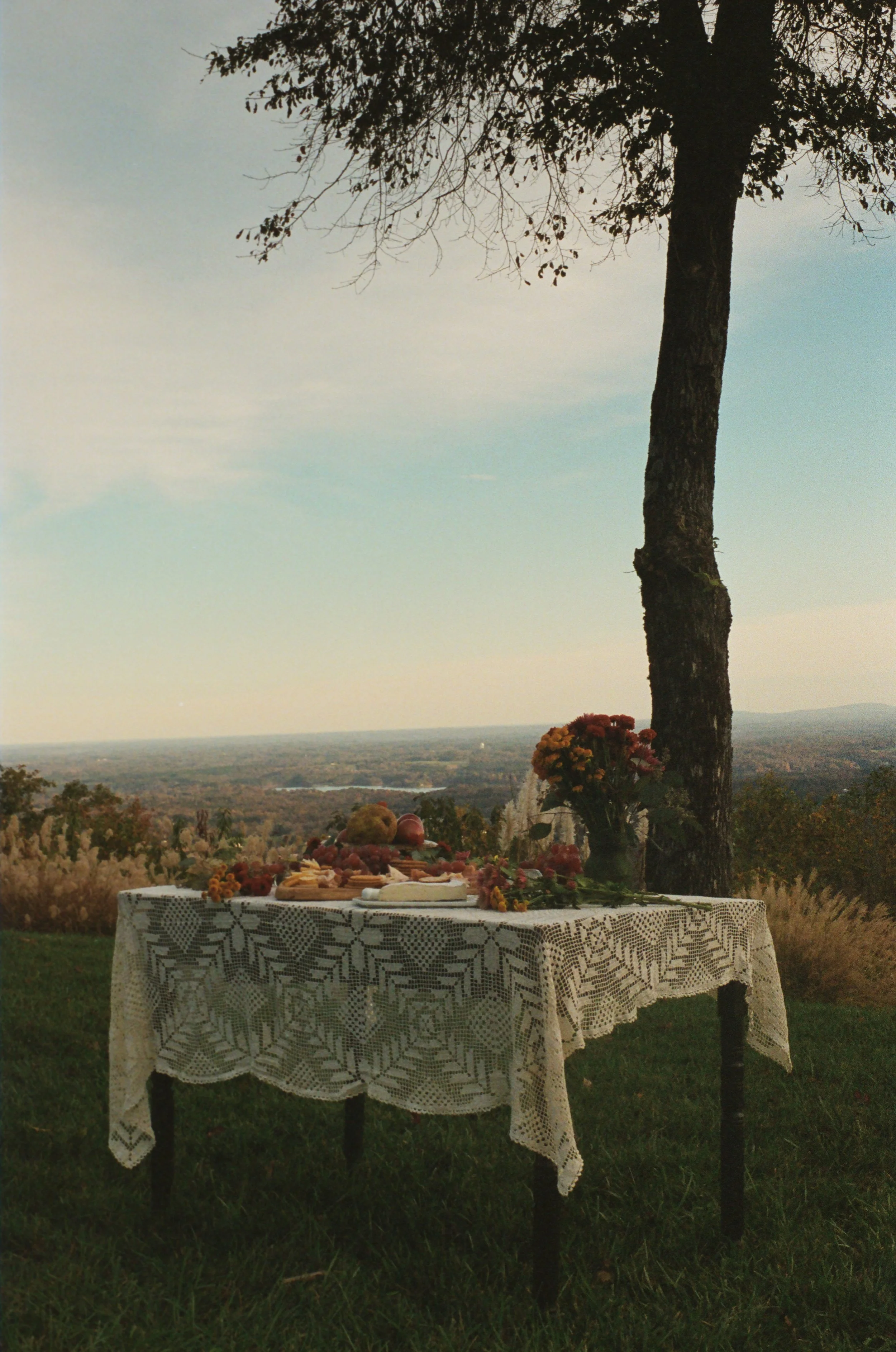 An outdoor table with a lace tablecloth, set with food and flowers, situated under a large tree with a scenic landscape in the background.