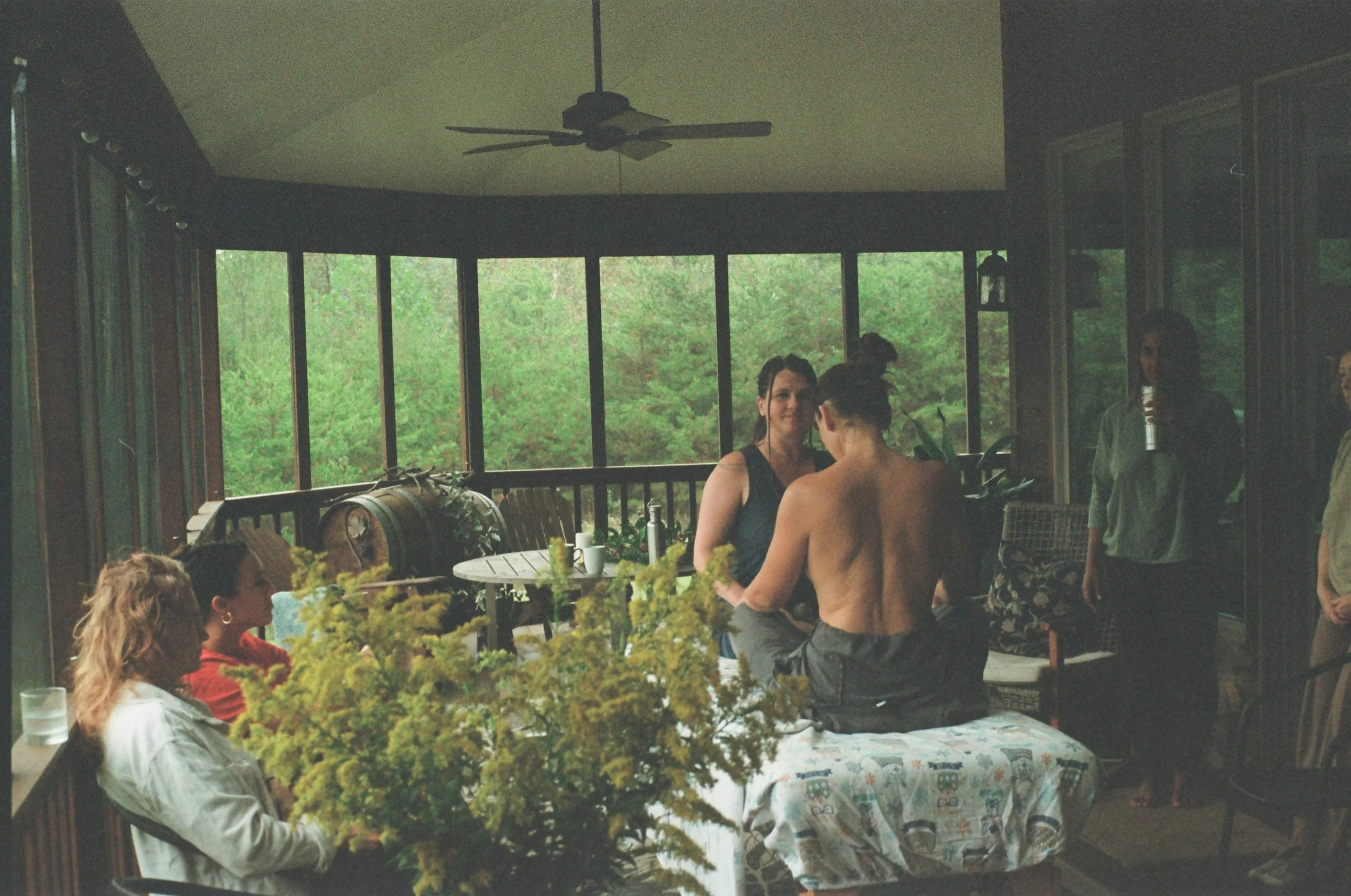 People gathered in a sunroom with large windows overlooking a green outdoor area, some sitting and some standing, engaging in conversation, with a round table covered in a tablecloth and several bottles and cups on it.