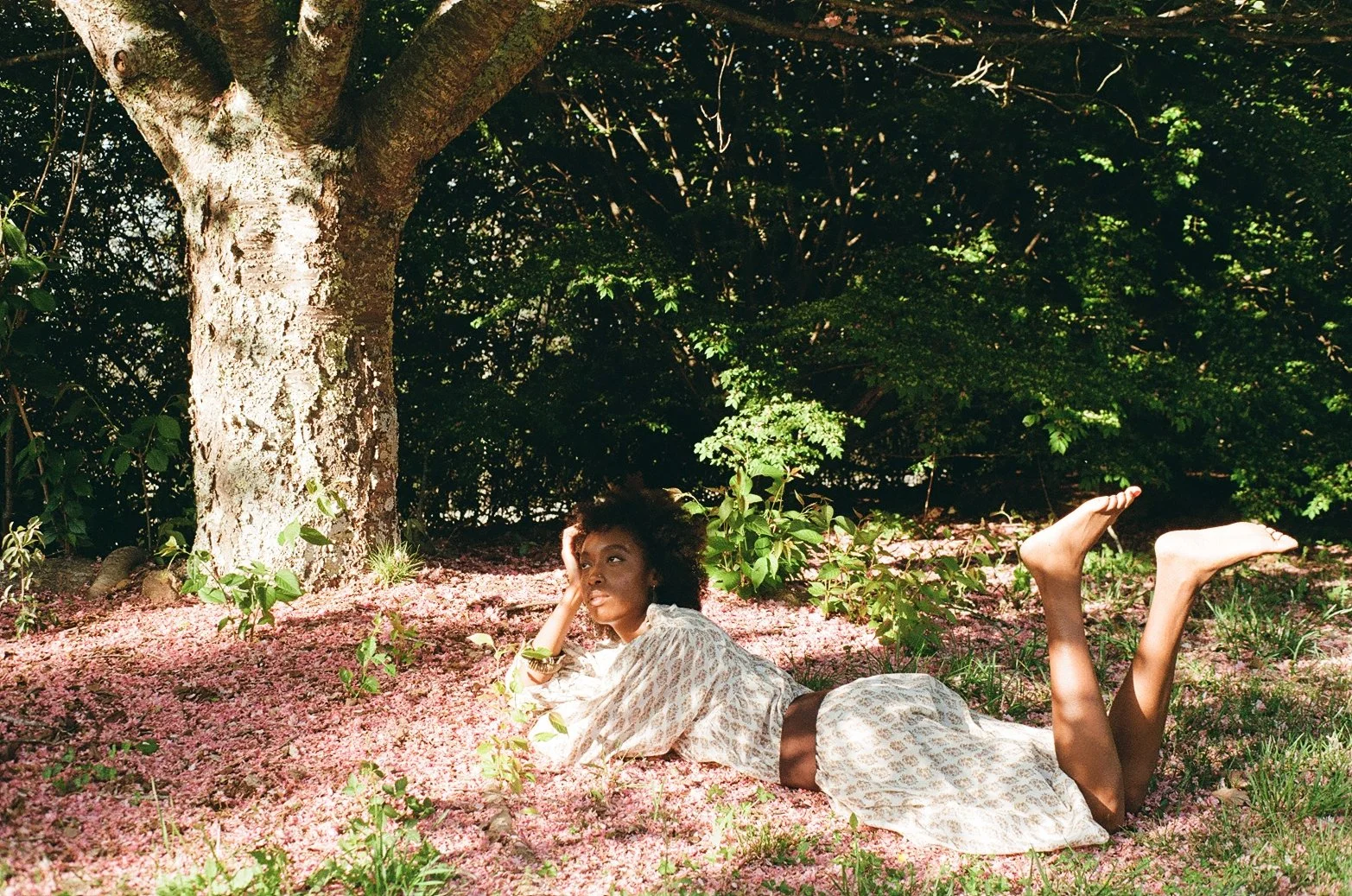 A woman lying on the ground in a forest with pink flower petals, resting her head on one hand, wearing a white patterned skirt and top, surrounded by green bushes and a large tree in the background.