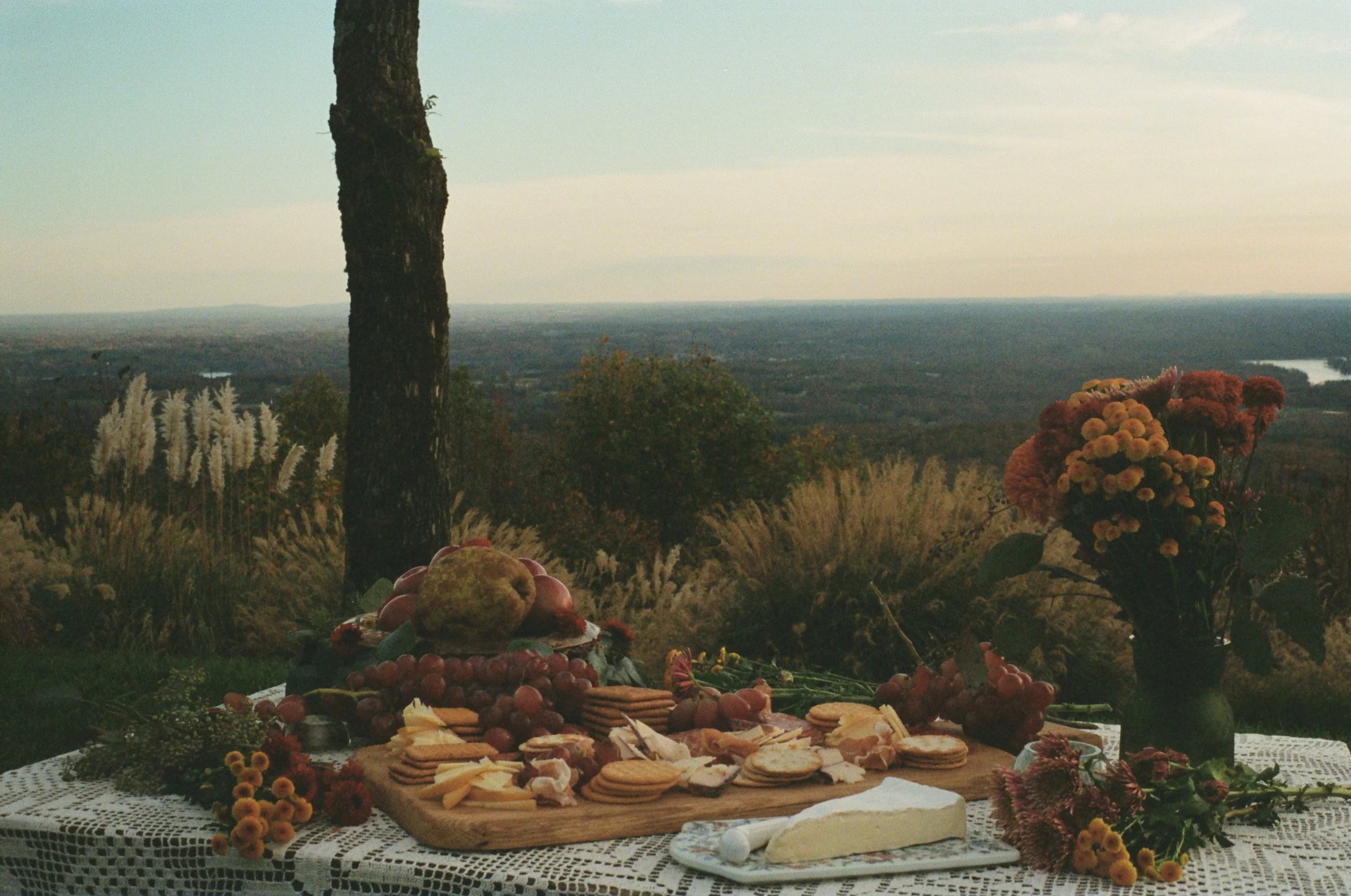 Outdoor table with cheese, crackers, grapes, apples, and flowers set up on a lace tablecloth, overlooking a scenic landscape with hills, trees, and a lake in the distance.