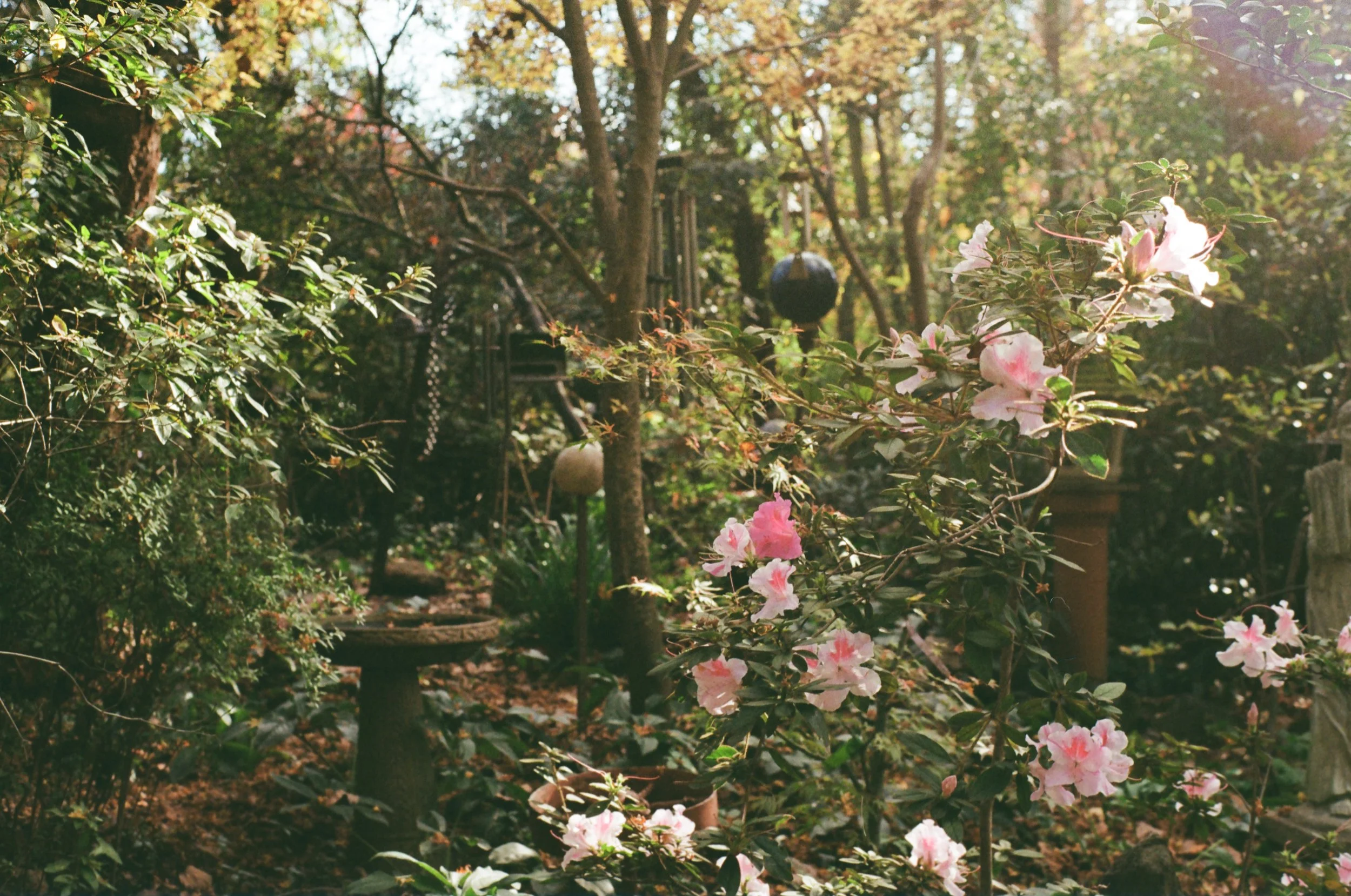 A lush garden scene with pink and white flowers in the foreground, surrounded by dense green foliage, trees, and garden ornaments in the background, sunlight filtering through the trees.