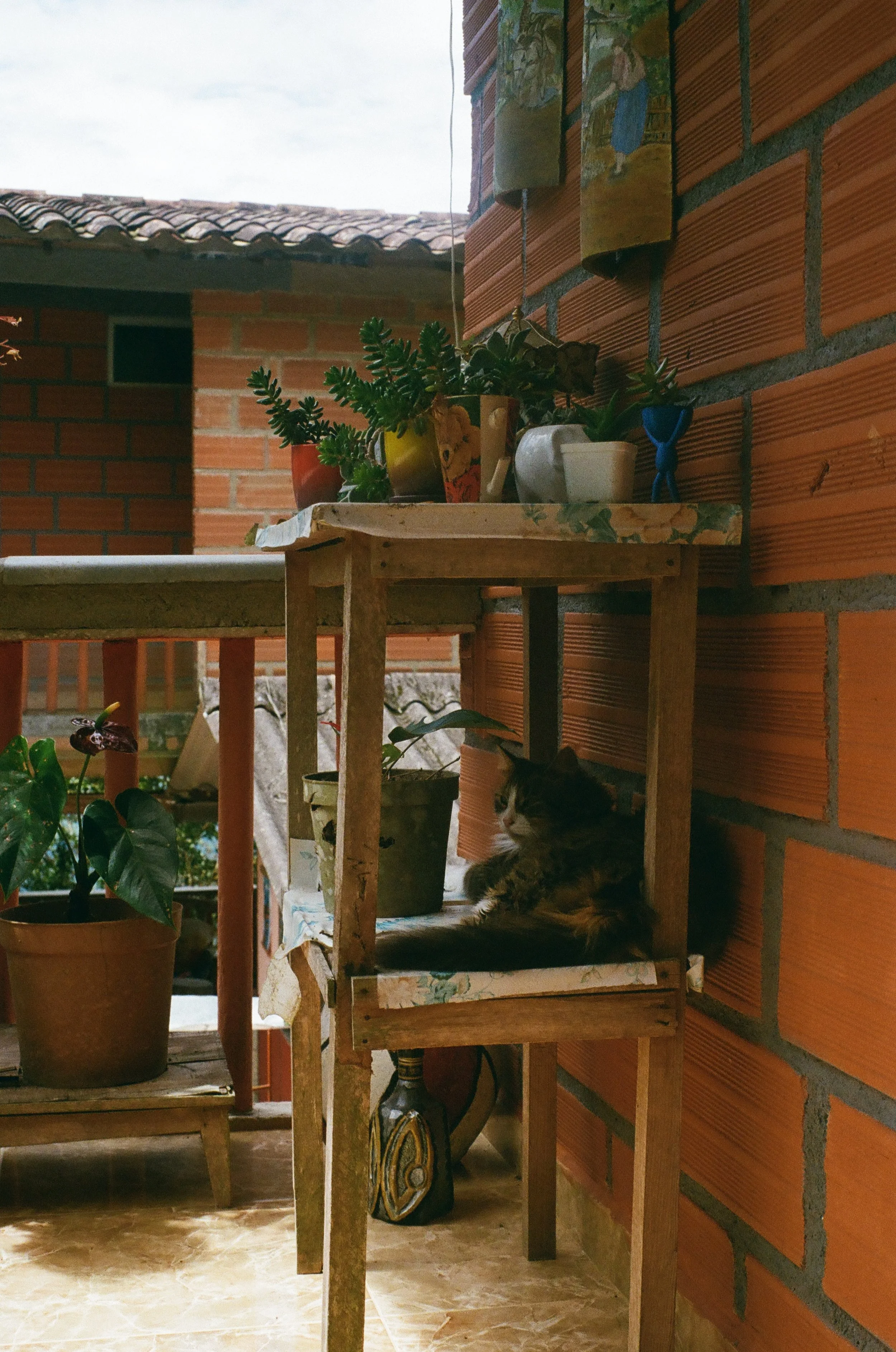 A small corner balcony with potted plants and a cat resting on a rustic wooden shelf attached to a brick wall.