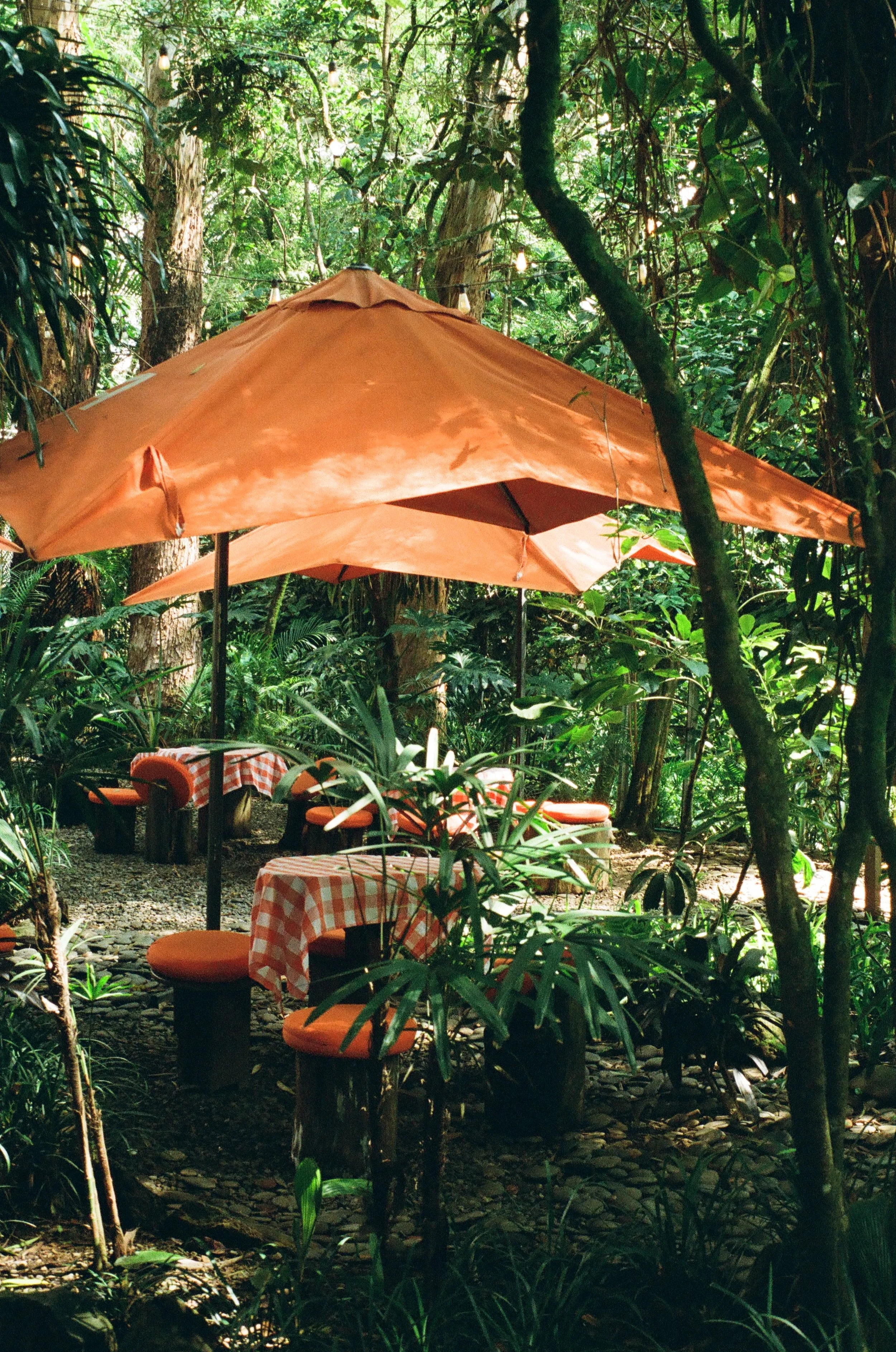 Outdoor restaurant in a dense jungle, with orange umbrellas, checkered tablecloths, and wooden stools and tables surrounded by green foliage.