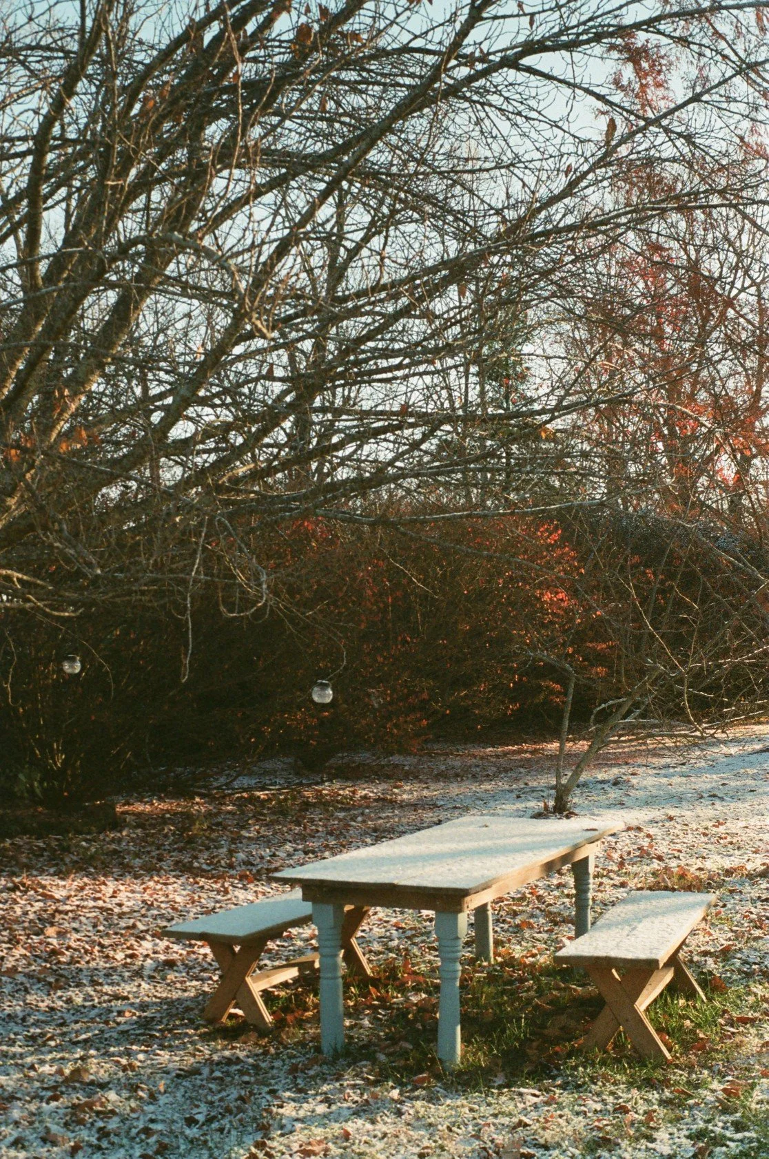A wooden outdoor table with two matching benches, partially covered in snow, set in a chilly outdoor environment with trees in the background.