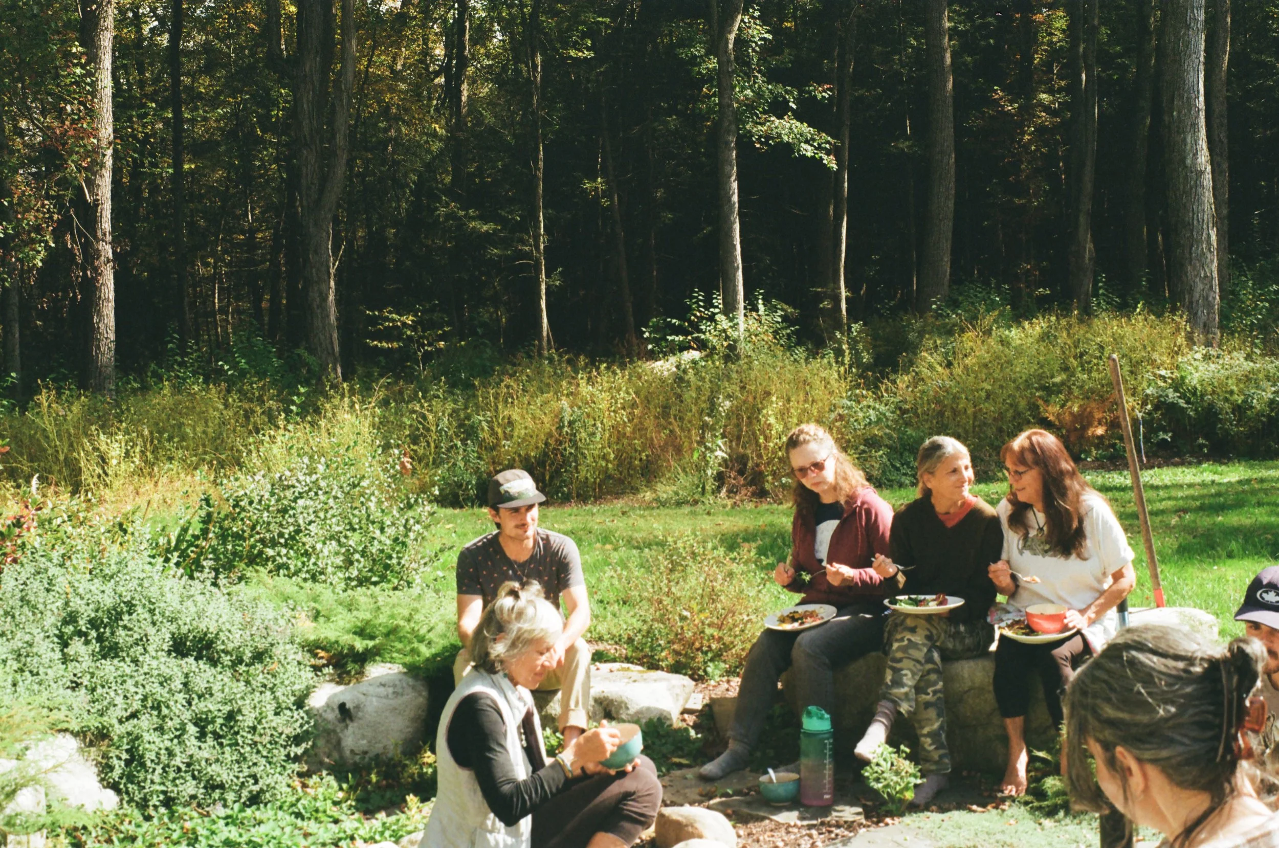 Group of people enjoying a picnic outdoors in a wooded park, sitting on a stone wall and on the ground, surrounded by greenery and tall trees.