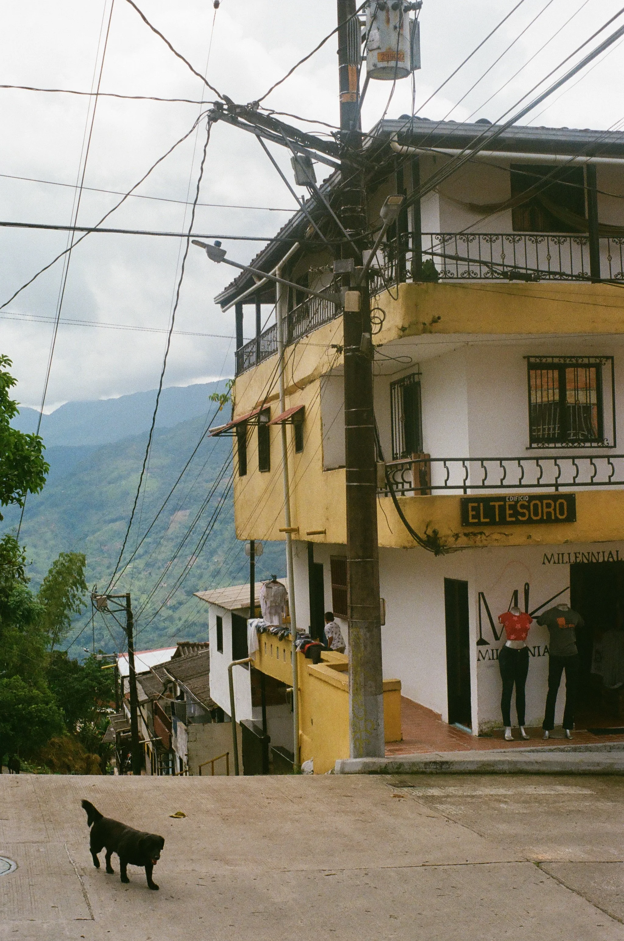 Street view of a corner building with yellow and white walls, balconies with metal railings, and a sign that reads 'EL TESORO'. There are power lines and a utility pole in front of the building, with a small black dog standing on the sidewalk and two women talking near the entrance.