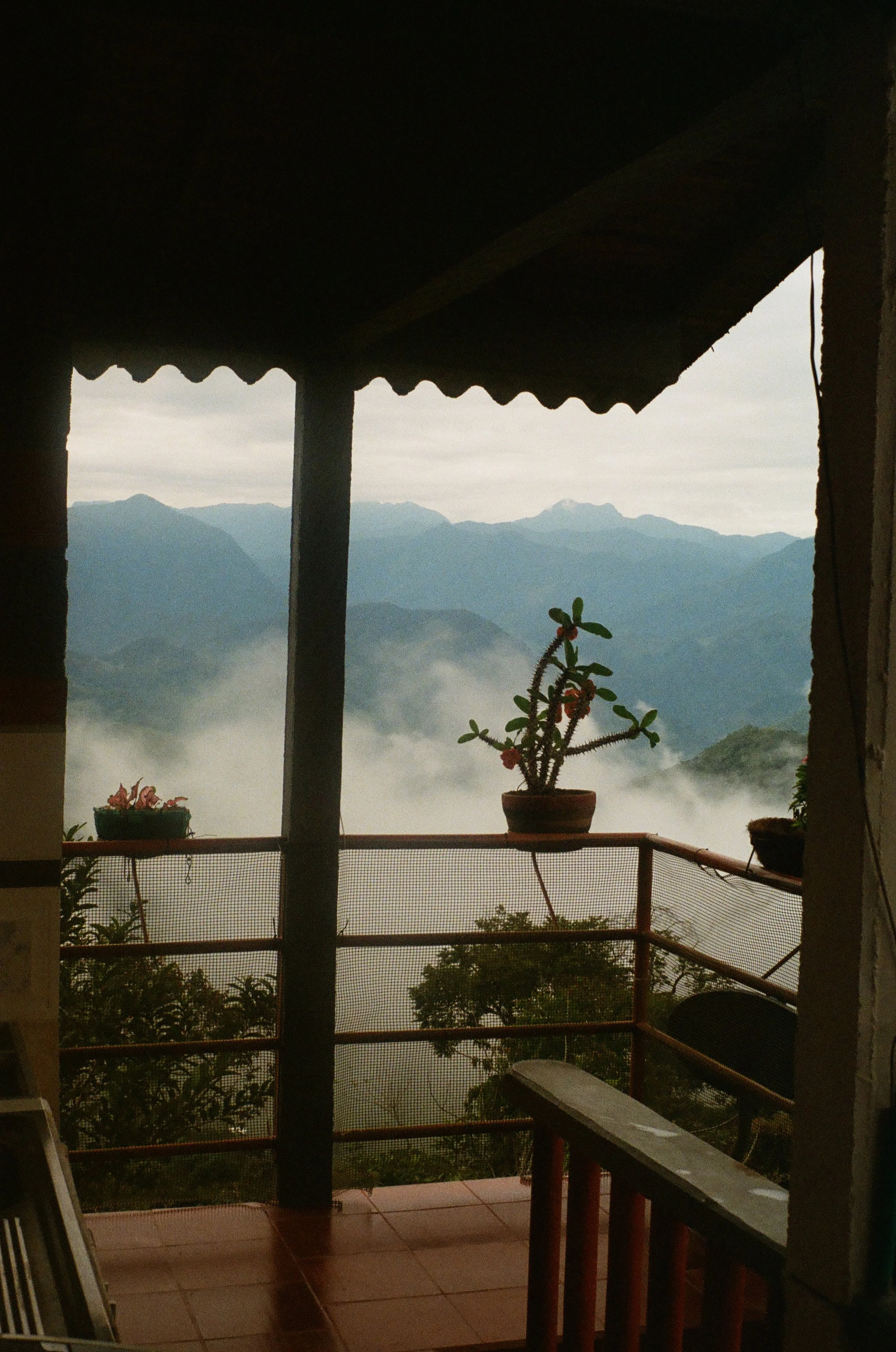 Mountain view from a balcony with potted plants, fog, and cloudy sky.