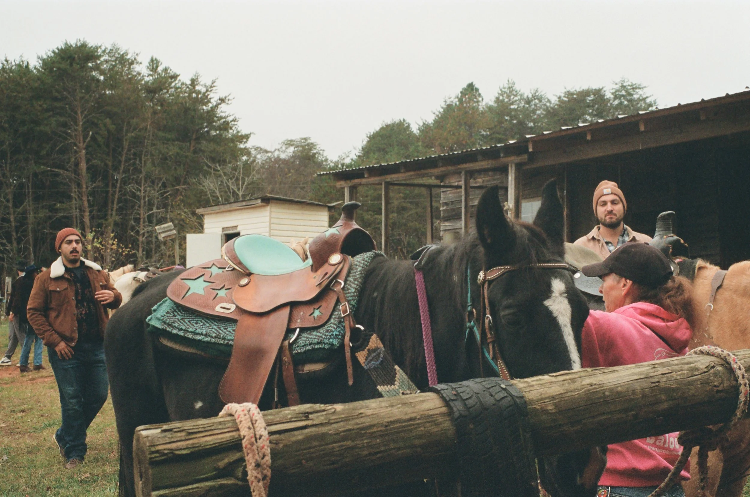 People with horses in a rural outdoor setting, one woman in a pink hoodie and black cap speaking to a horse, two men standing near horses, wooden buildings and trees in the background.