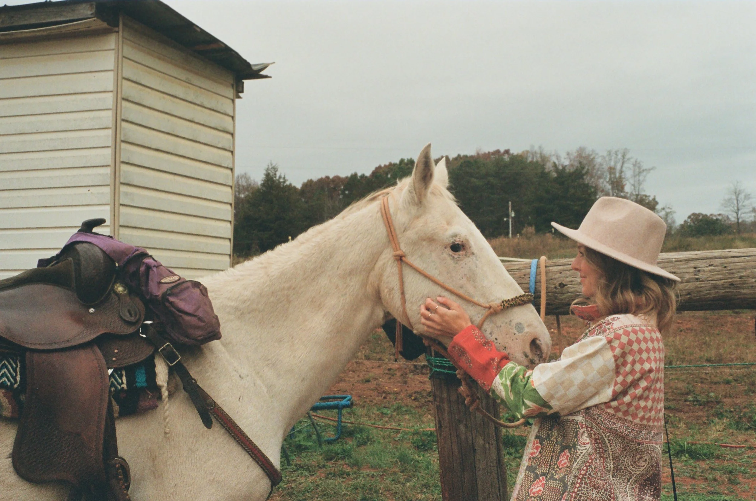 A woman in a large beige hat and vintage-style dress petting a white horse with a saddle and riding gear, outdoors near a wooden fence and a small building, with trees and a cloudy sky in the background.