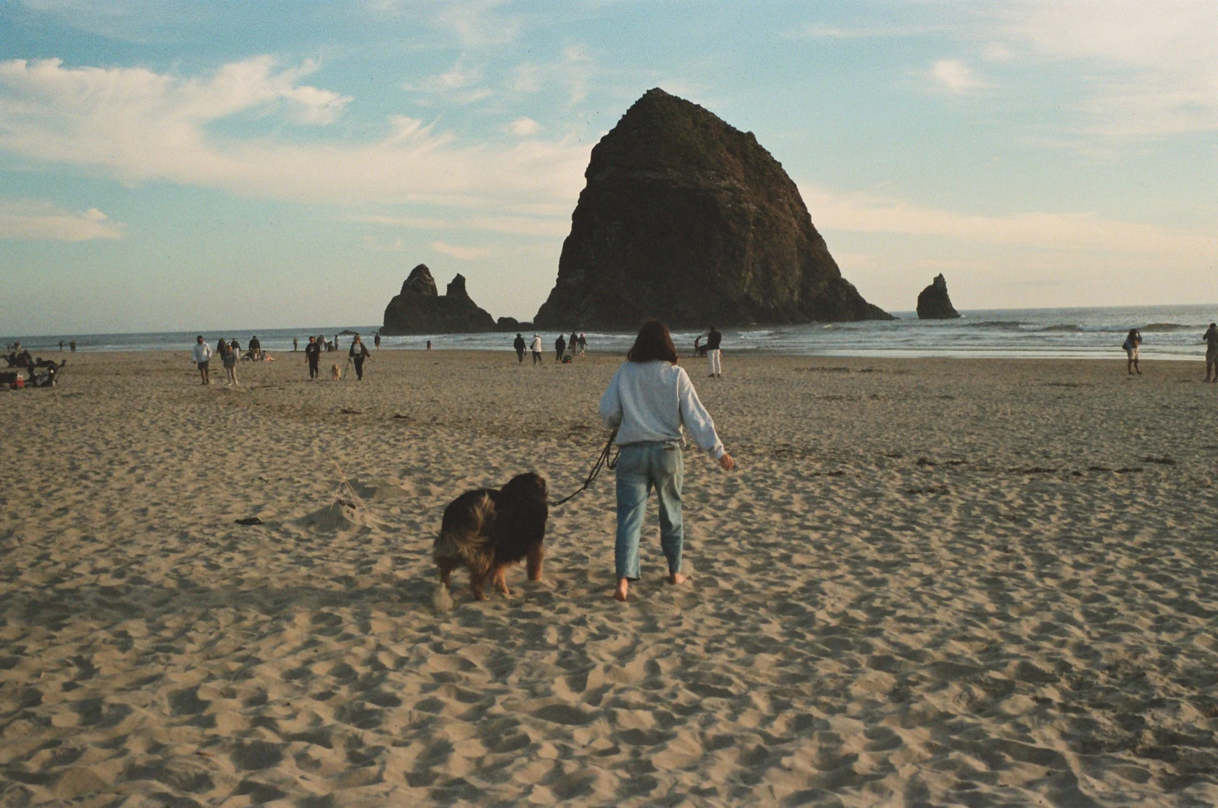 Person walking on sandy beach with dog, large rock formations in ocean in the background, partly cloudy sky.