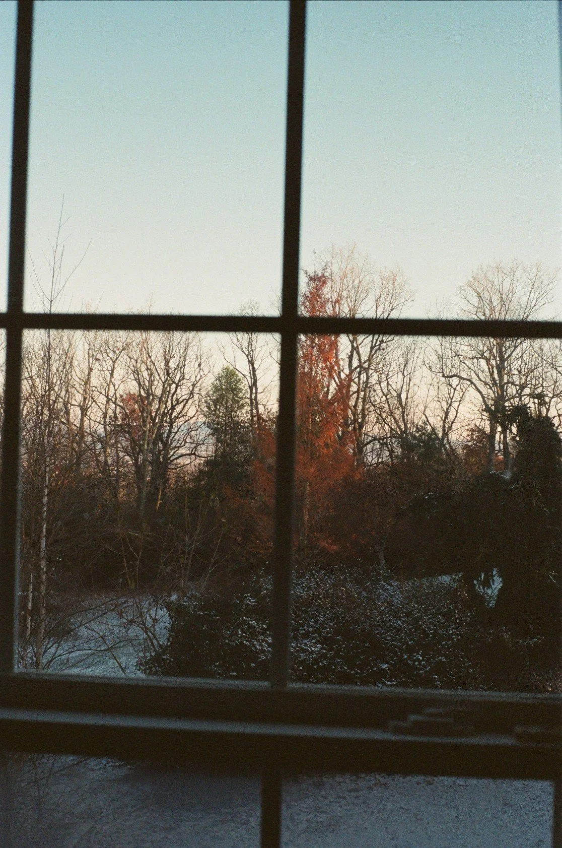 View of a backyard with leafless trees and some snow on the ground, seen through a window with divided panes.