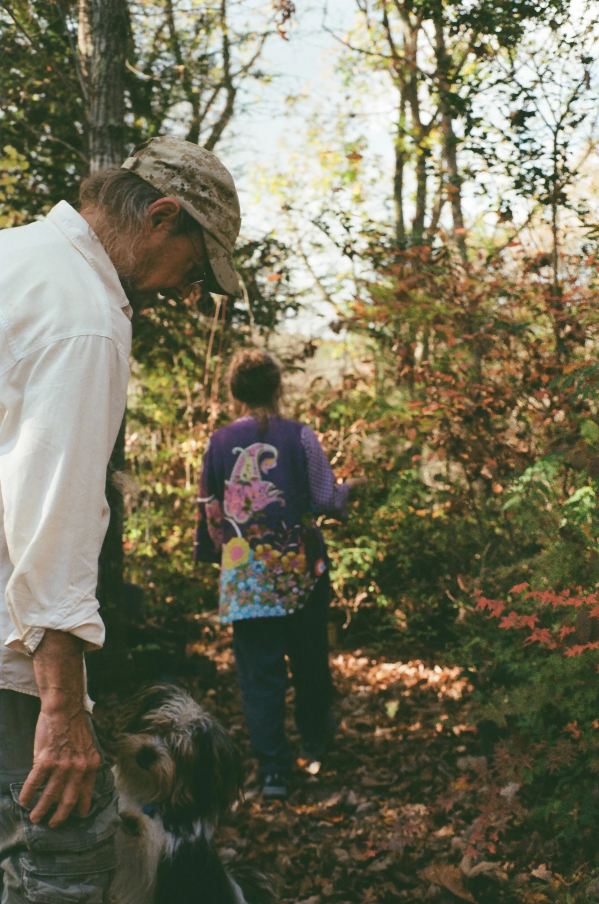 Older man with a beard, wearing a camouflage cap and white shirt, walking a dog in a forest during autumn; a woman in purple with a colorful backpack is seen in the background.