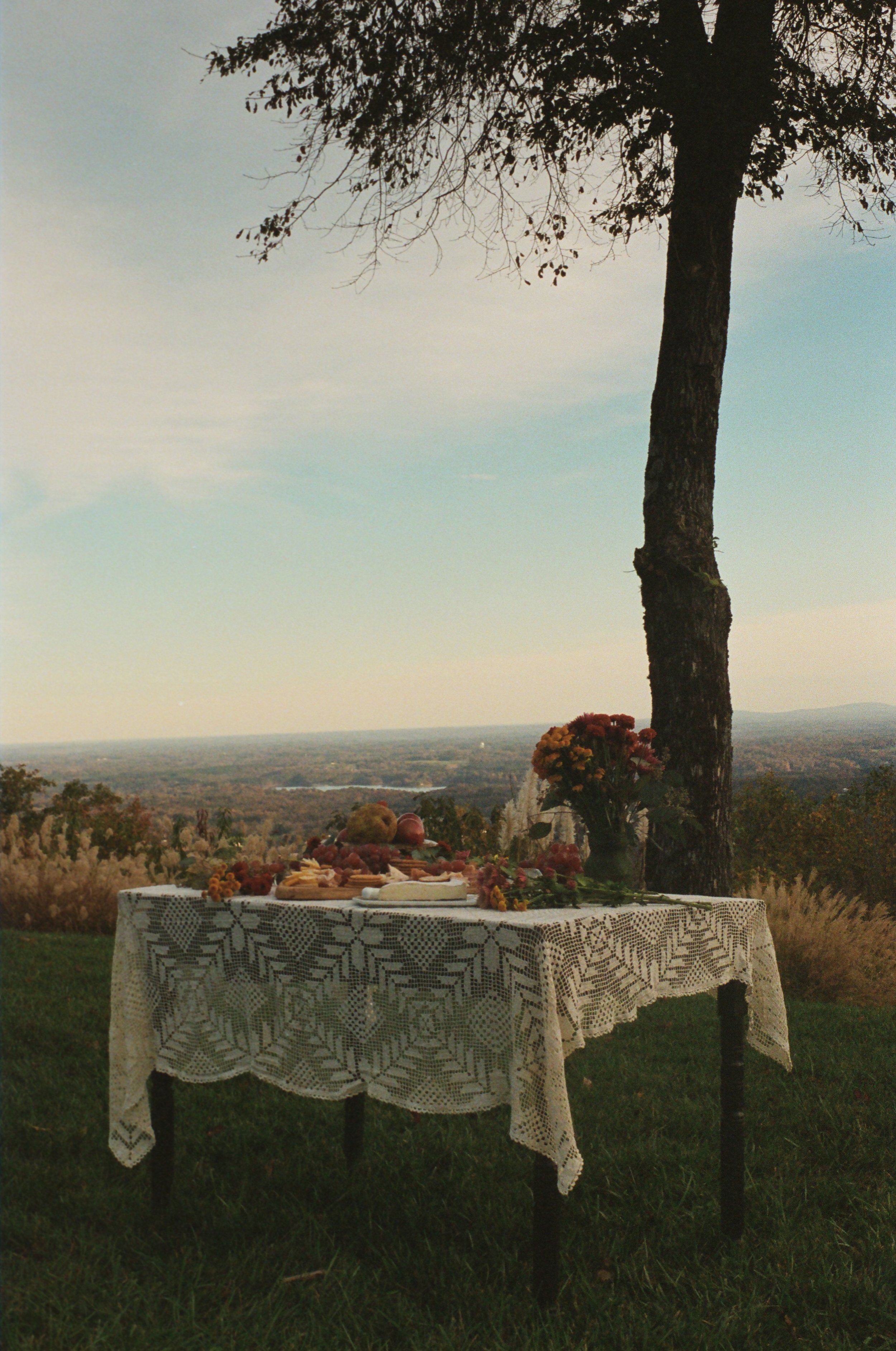 A table with a lace tablecloth set outdoors with food and flowers, beside a large tree and overlooking a landscape at sunset.