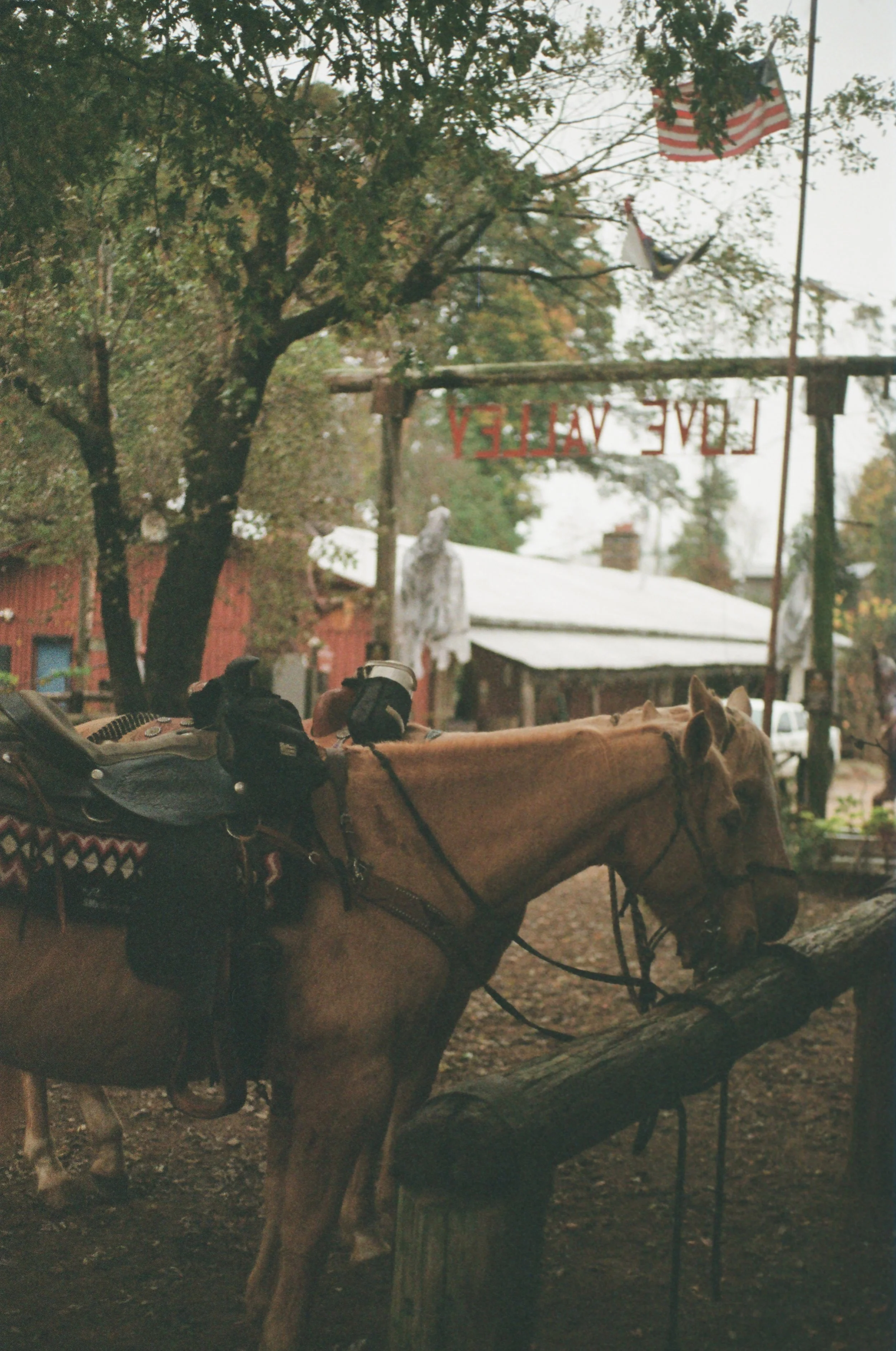 A horse with a saddle and gear, leaning its head on a wooden fence outside a building with a 'Live Valley' sign, American flags, trees with fall foliage, and a cloudy sky.