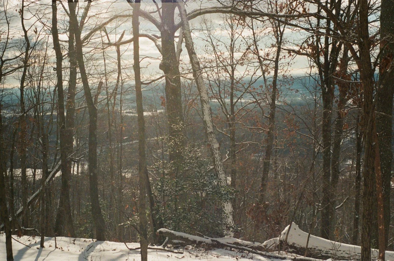 Snow-covered forest with tall leafless trees and a fallen branch, distant hills under cloudy sky.