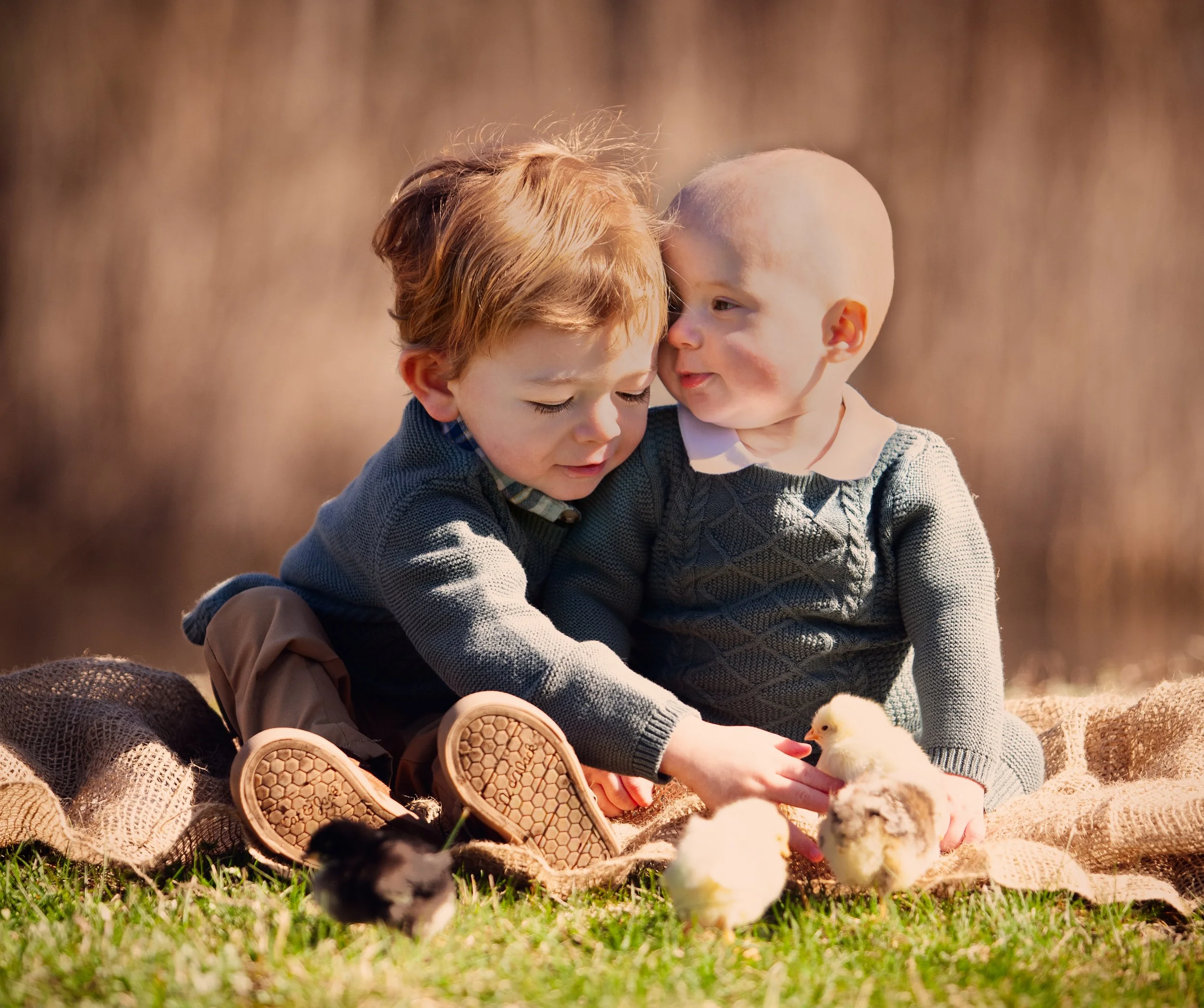 Two children sitting outdoors on a blanket with chick and ducklings, one with red hair wearing a blue sweater, the other with blond hair wearing a gray sweater, gently holding a chick and interacting with farm animals.
