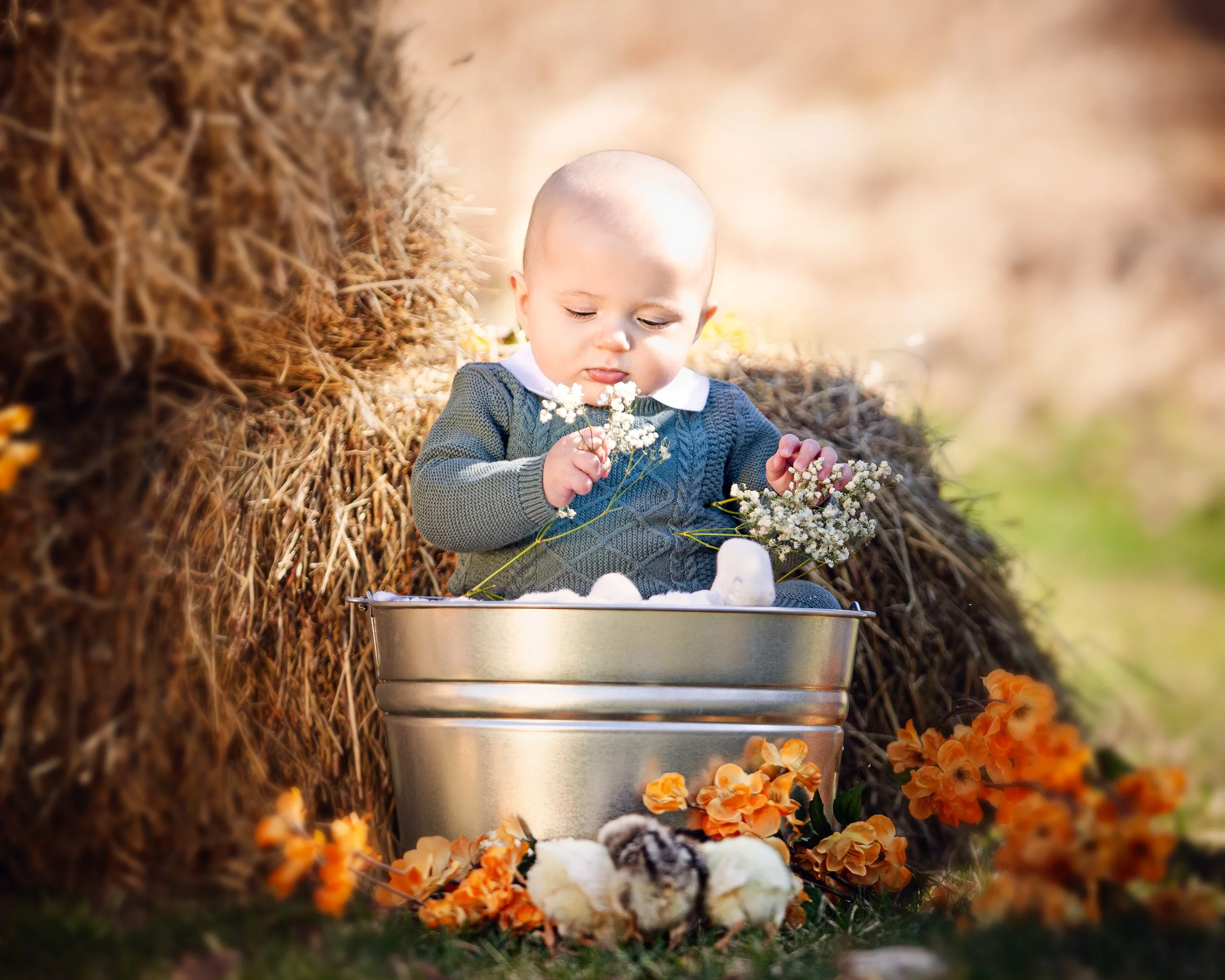 A young boy with a shaved head sitting outdoors between hay bales, holding white flowers, with orange flowers scattered around on the grass.