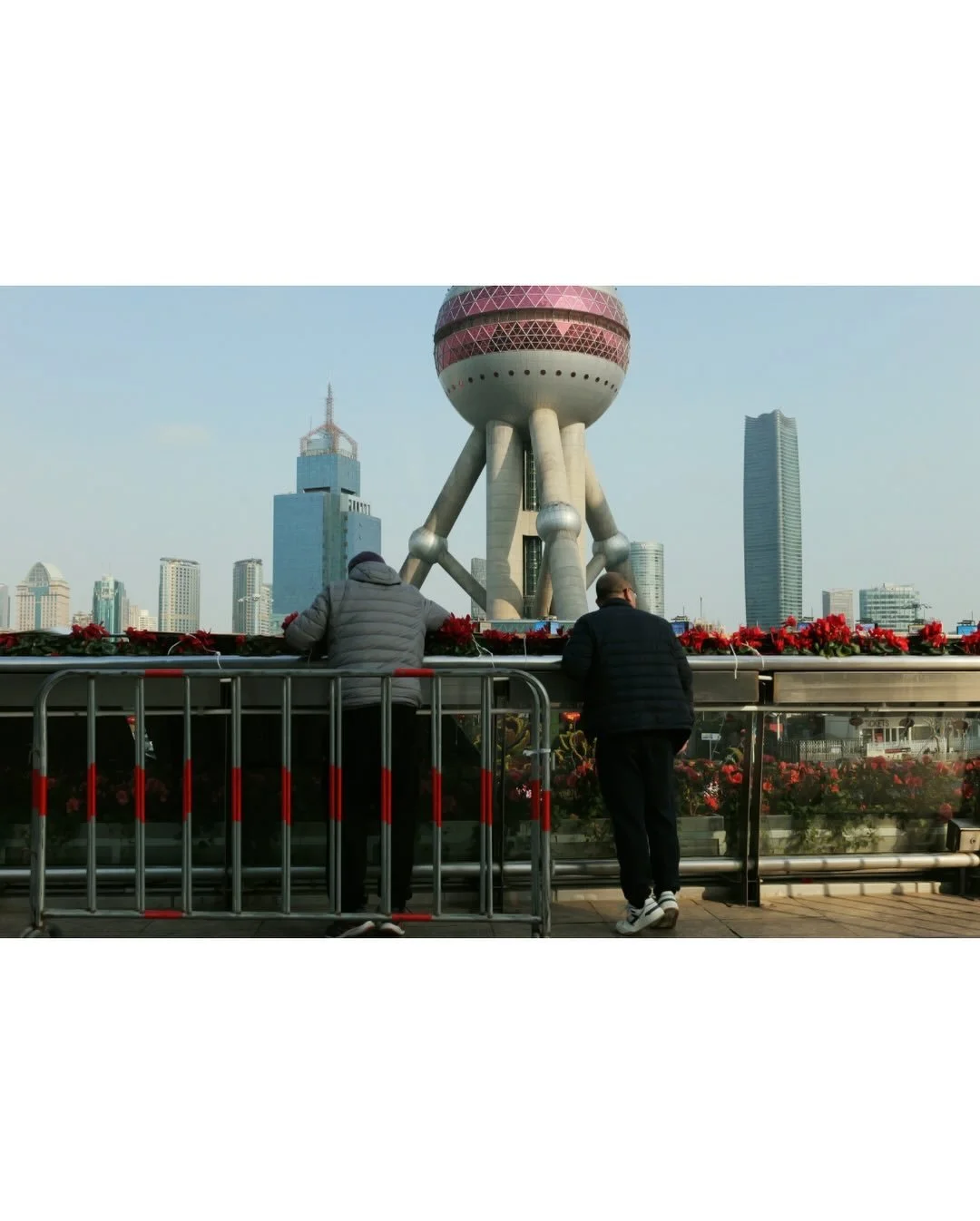 scenes from shanghai

#shanghai
#fyp
#photography
#viral
#streetphotography