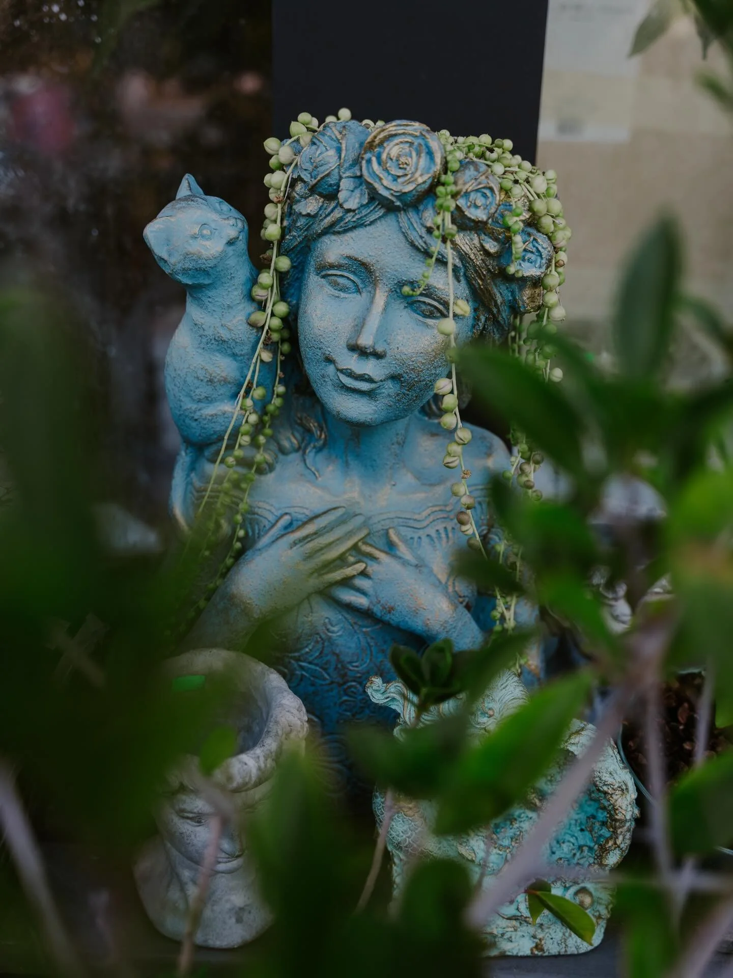 Faces of The Staghorn Garden 🎍🧘&zwj;♀️🌴 

 Do you have a favorite? ✨

📸: @wildflowerphotoco 

#garden #gardenaccessories #zengarden